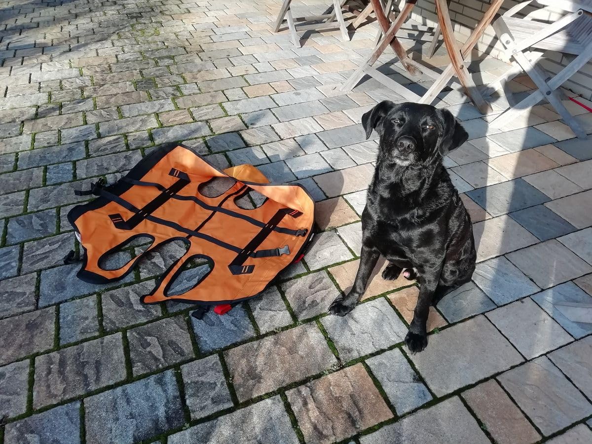 Singing Rock Laika Dog Harness