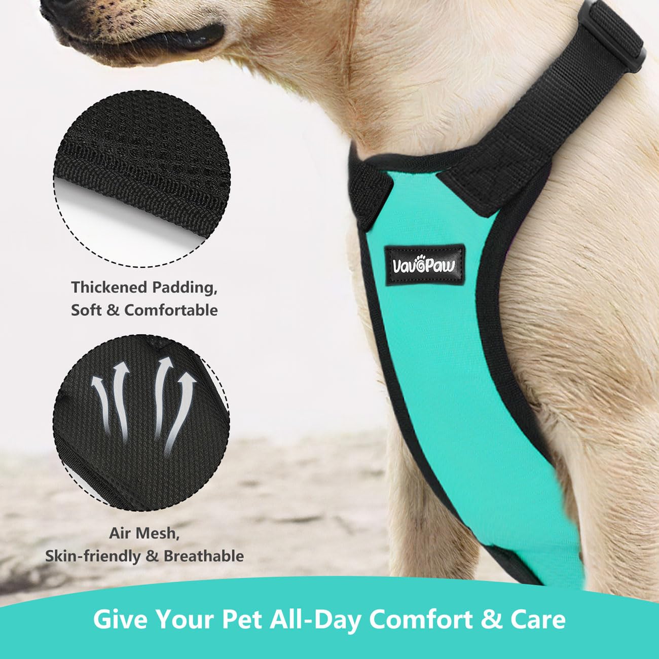 Vavopaw Dog Vehicle Safety Vest Harness, Adjustable Soft Padded Mesh Car Seat Belt Leash Harness With Travel Strap And Carabiner For Most Cars, Xxl Size, Blue