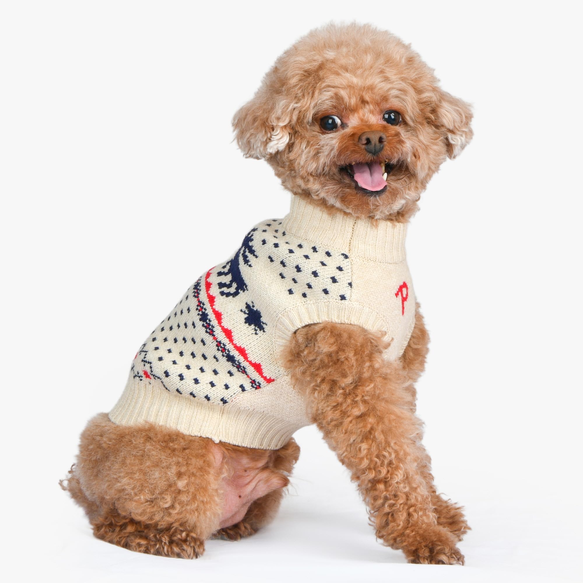 Puppia Dyani Dog Knit Sweater Winter Season For Small And Medium Dogs, Beige, Medium