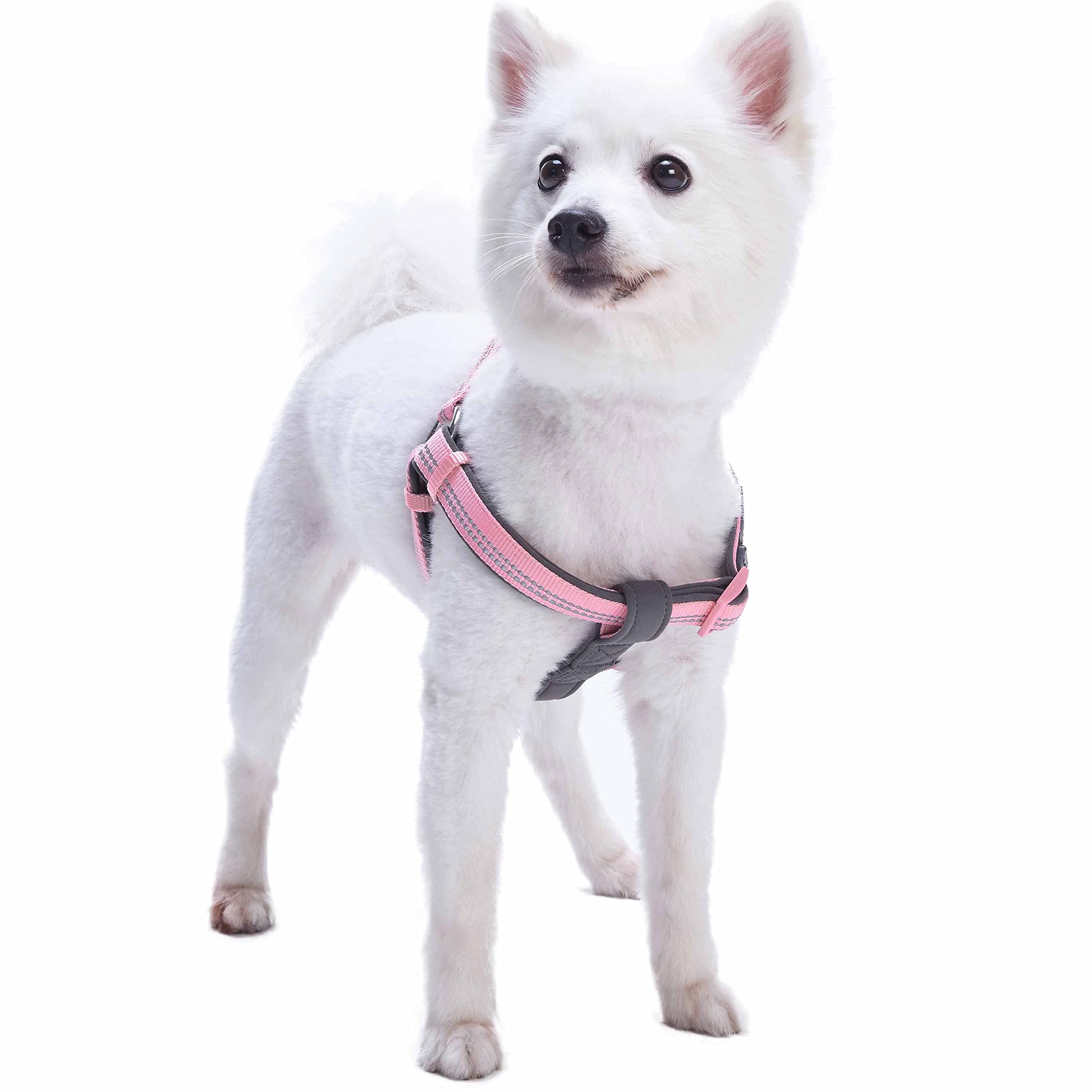 Blueberry Pet Soft & Comfy 3M Reflective Step-In Pastel Color Padded Dog Harness, Chest Girth 19.5' - 25.5', Baby Pink, Medium, Adjustable Harnesses For Dogs
