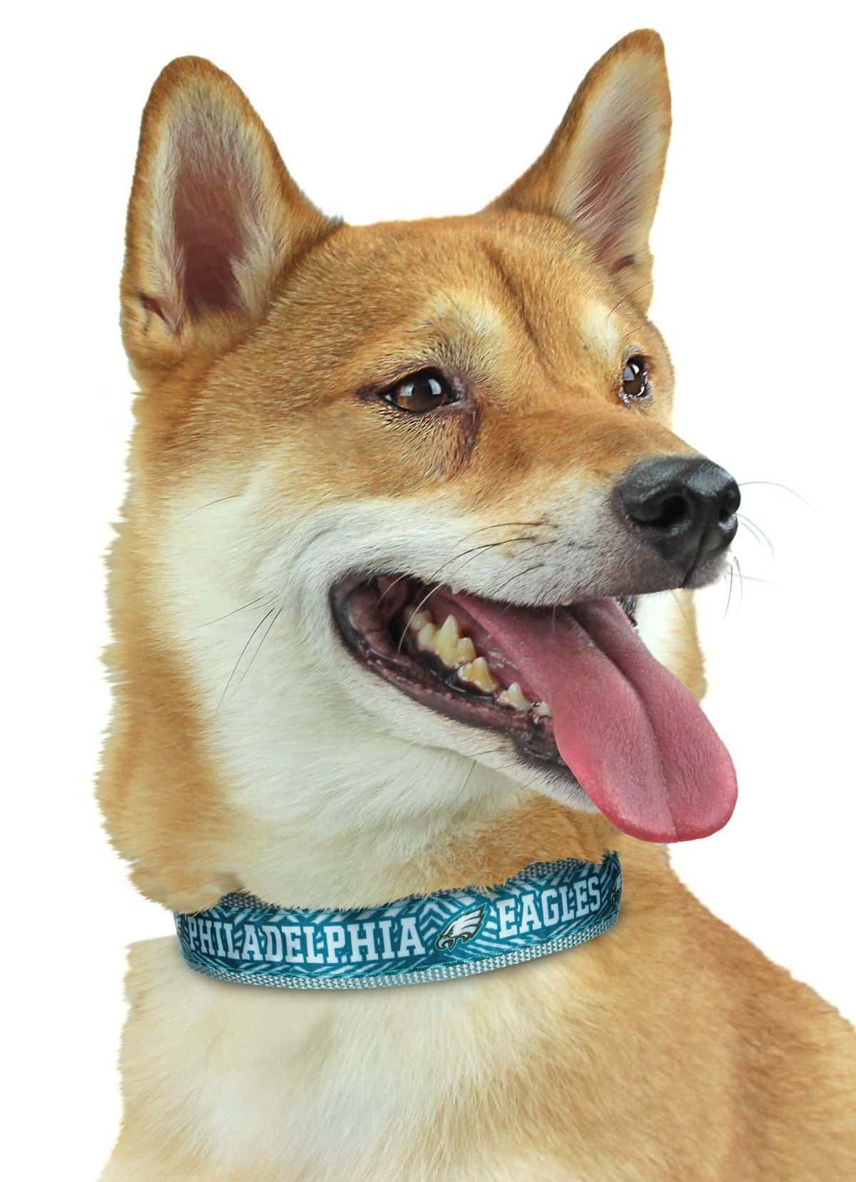 Zubaz Nfl Team Adjustable Pet Collar For Dogs & Cats, Philadelphia Eagles, Large