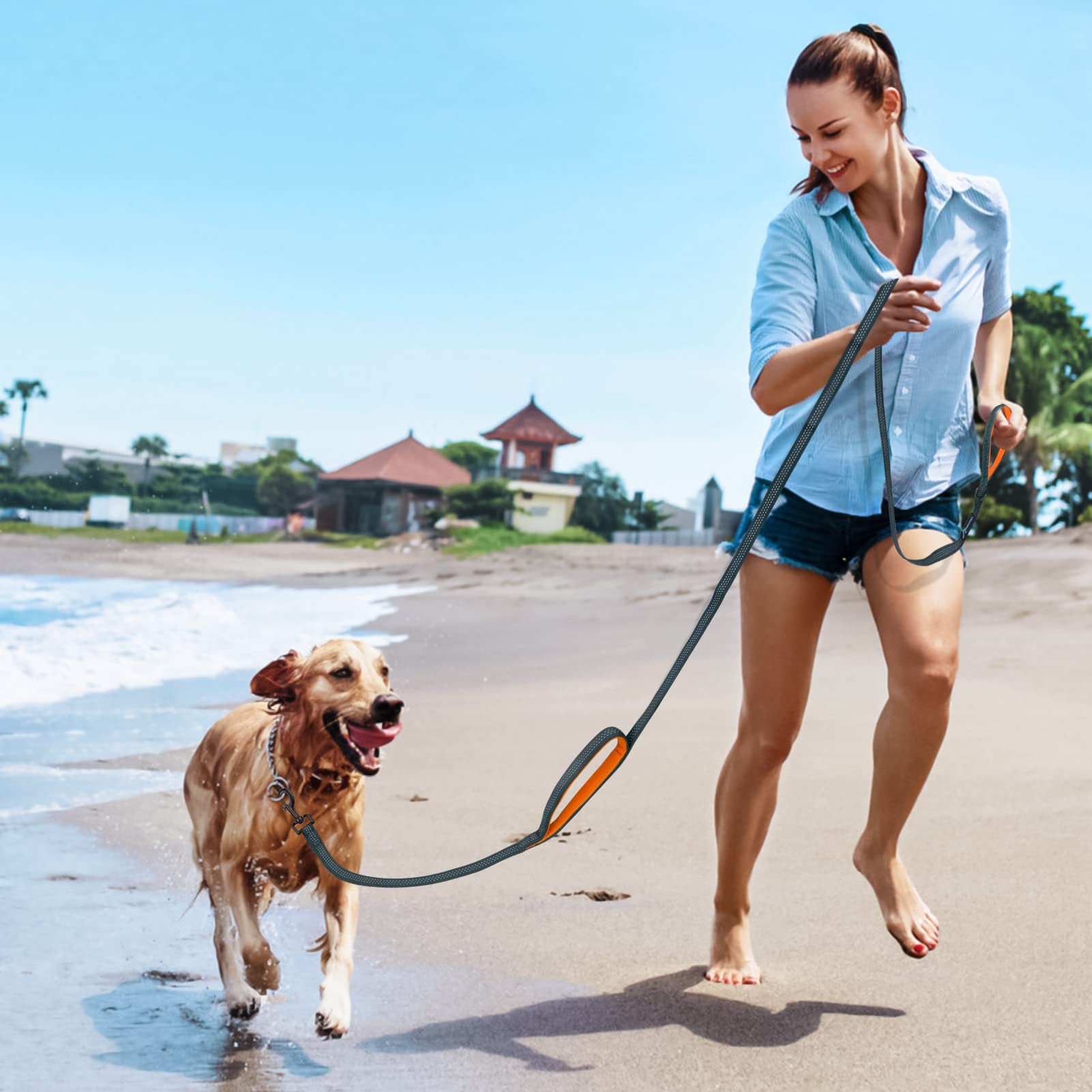 Puppydoggy Dog Leash For Large Medium Dogs 6 Ft Reflective Stitching Pet Leash With 2 Traffic Padded Handles Dog Lead Rope Pet L