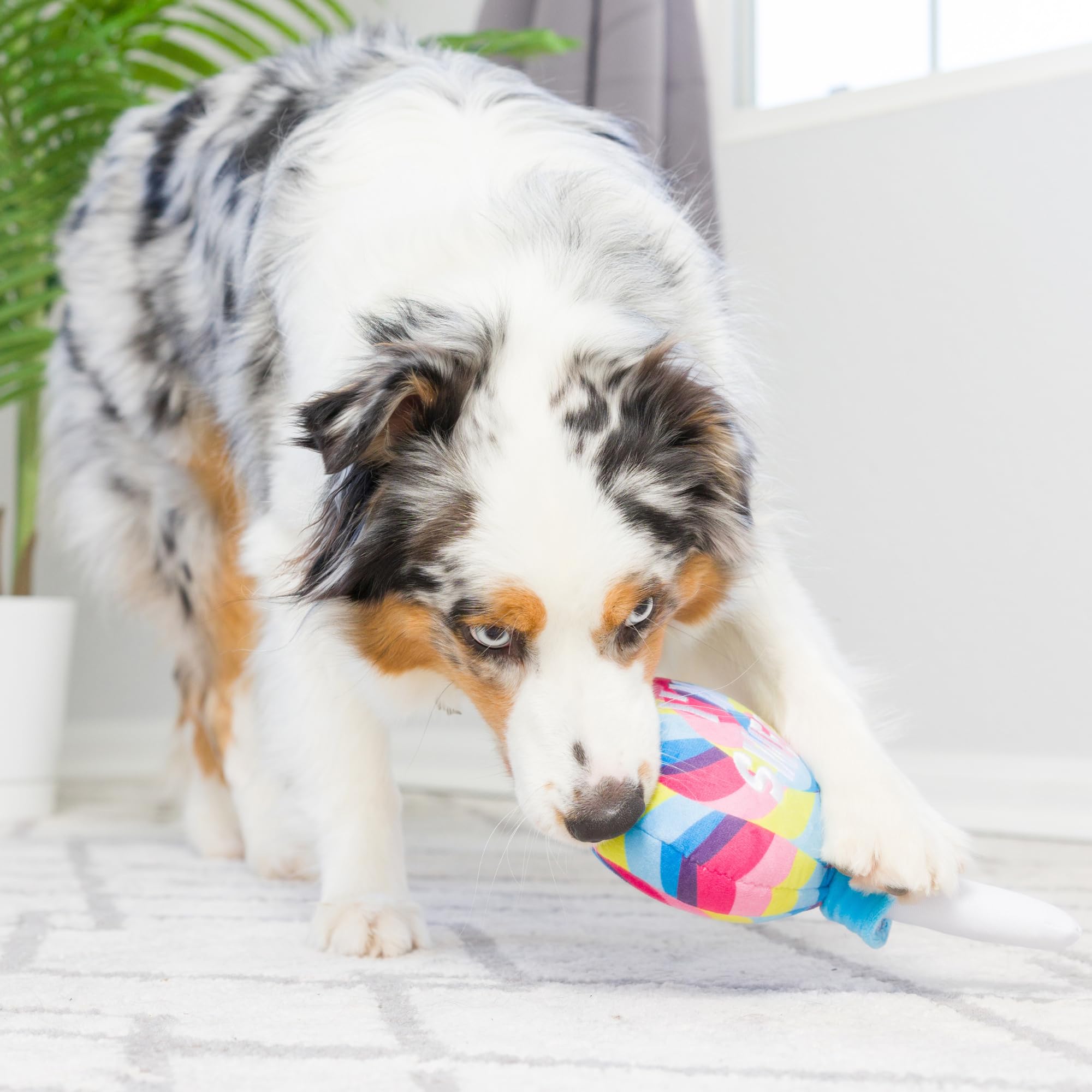 Huxley & Kent For Dogs - I'M Sweet Lollipop (Small) - Easter Spring - Power Plush Funny Dog Toy With Squeaker - Fun, Durable, An