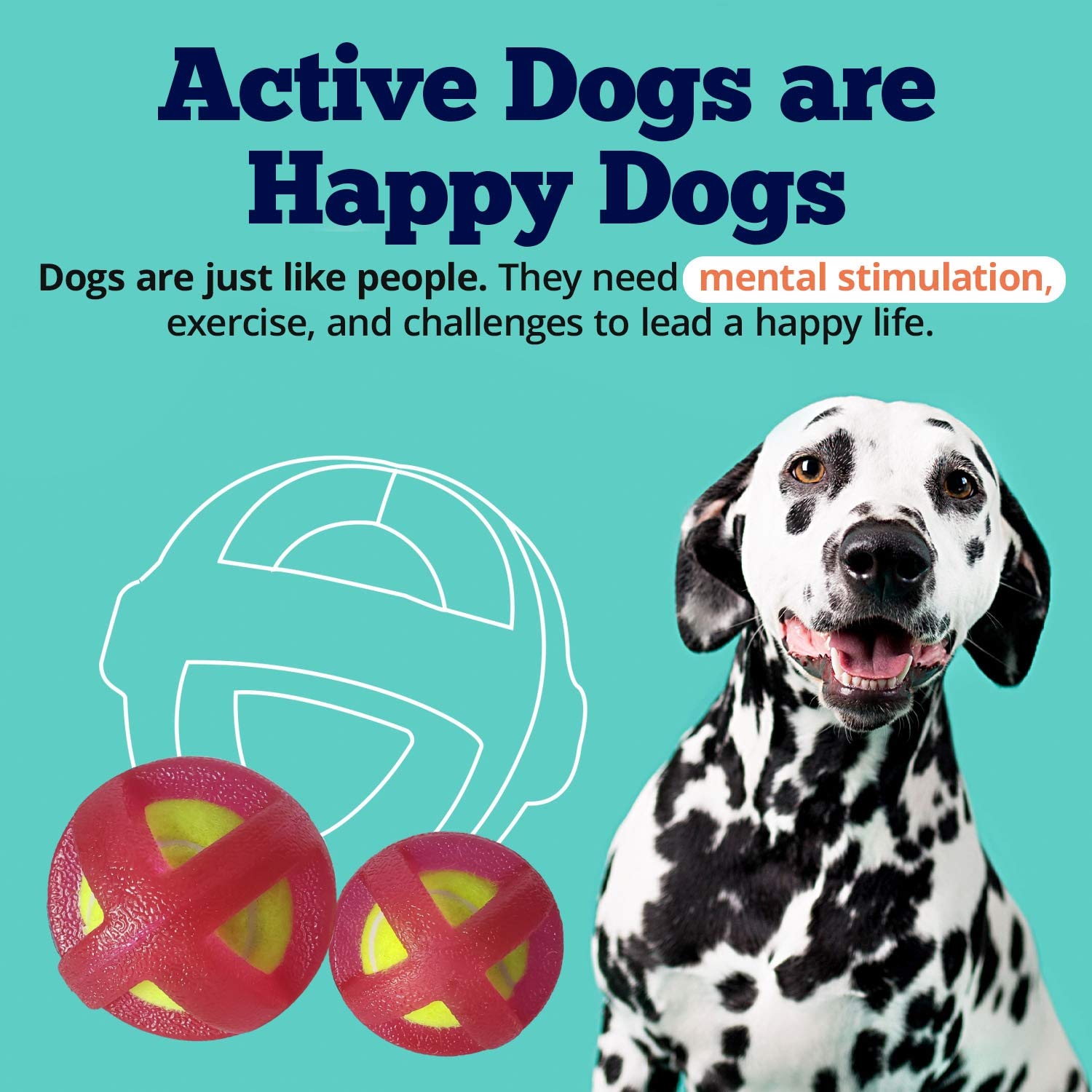 American Pet Supplies Tennis Balls, Tpr Coated Tennis Ball Set, Chewing Toys For Puppies And Dogs (Red)