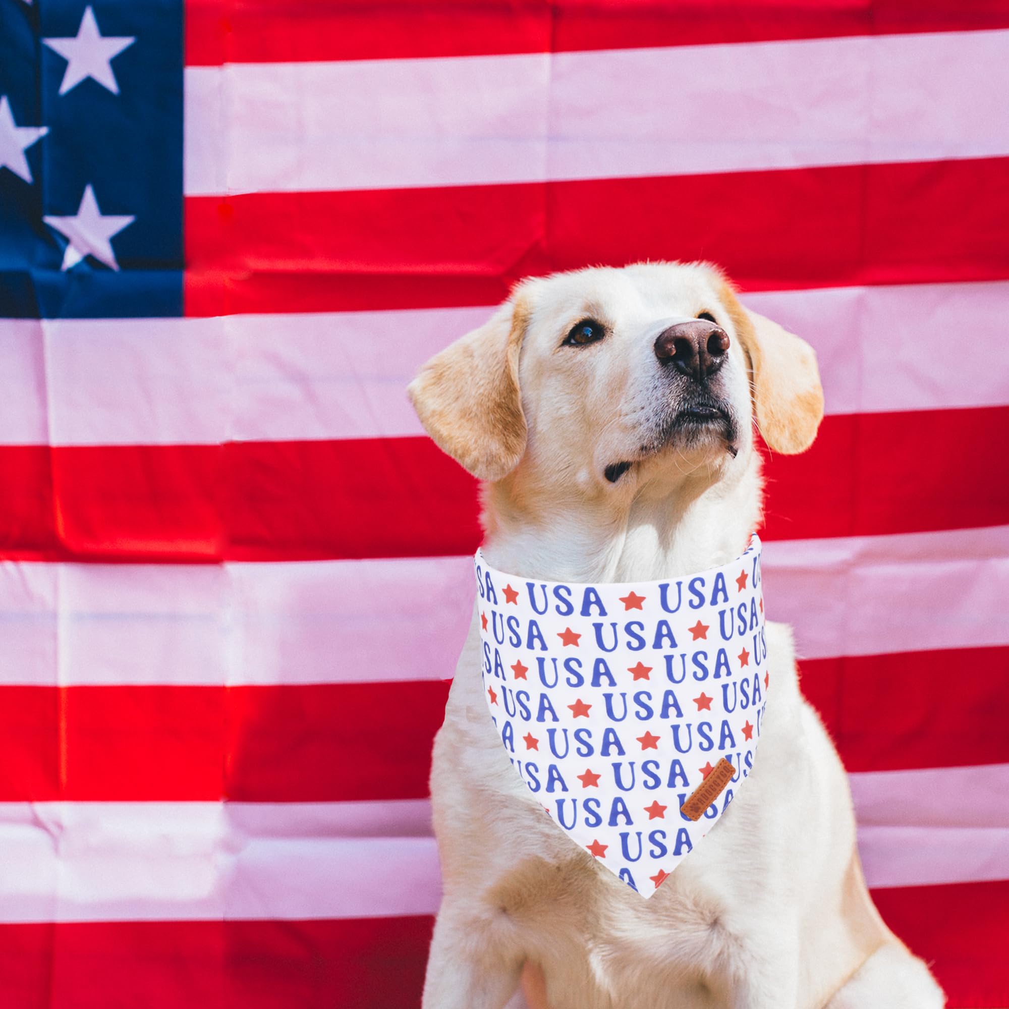 ADOGGYGO 4th of July Dog Bandanas, American Flag Pet Scarf, Multi Size Offered, White Blue Flag Bandana for Extra Large Dogs Pet