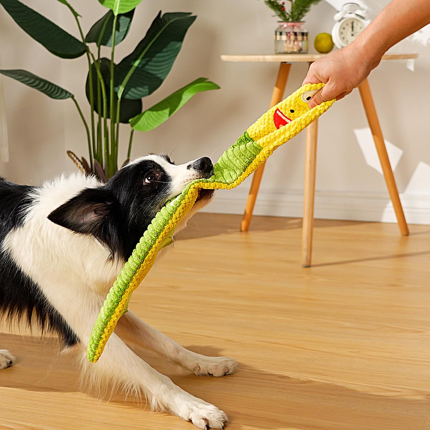 Sedioso Dog Toy Pack for Large Dogs, (3-Pack) Stuffless Dog Toys for Aggressive Chewers, Extra Long Durable Squeaky Dog Toy, Dog