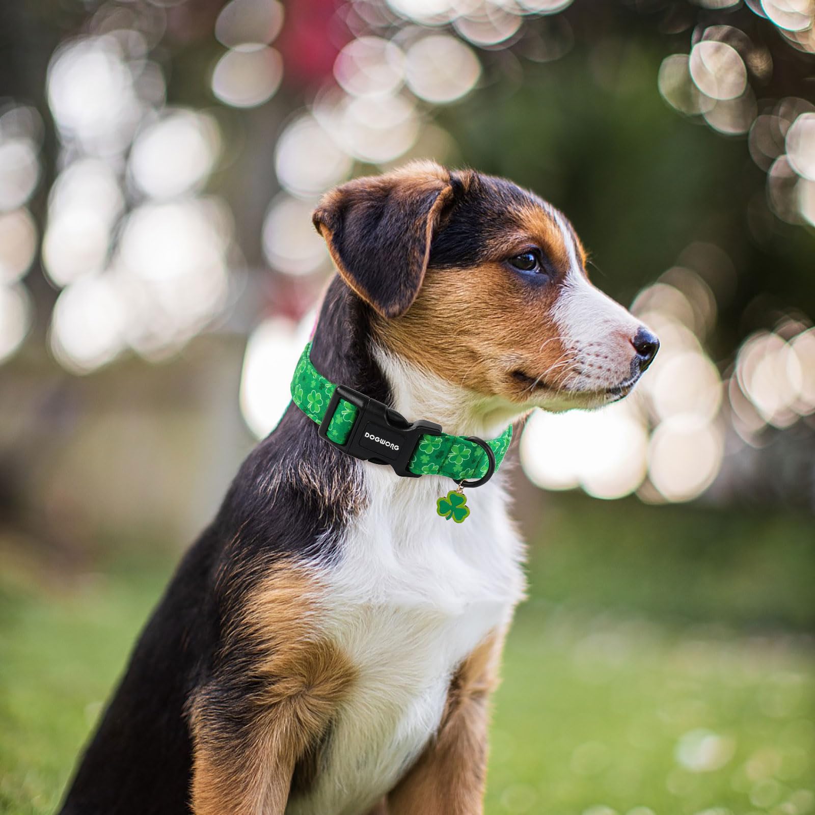 Dogwong St. Patrick'S Day Dog Collar, Cute Green Clover Dog Collars, Adjustable St. Patrick'S Day Pet Collars Design Dog Collar