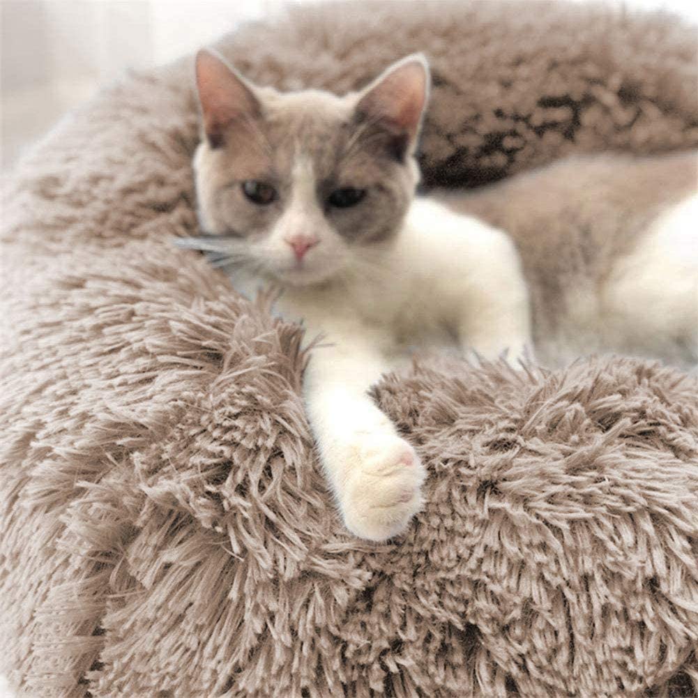 Cat Beds For Indoor Cats - Cat Bed Washable 24 Inches, Dog Beds For Small Medium Dogs, Anti Anxiety Round Fluffy Plush Faux Fur