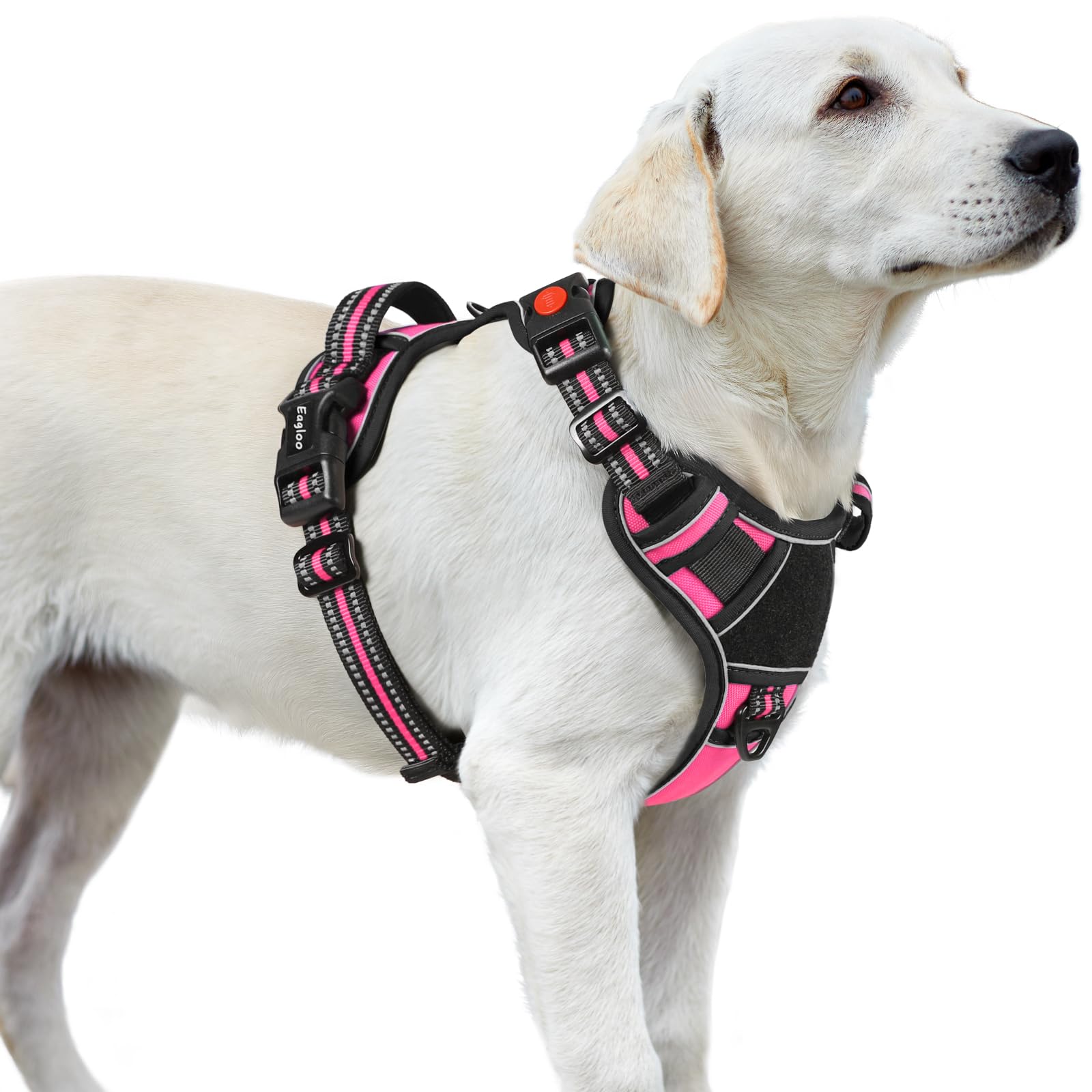 Eagloo Dog Harness for Large Dogs, Easy Wearing with 3 Buckles, Adjustable No Pull Pet Harness with 2 Rings for Walking, No Choc