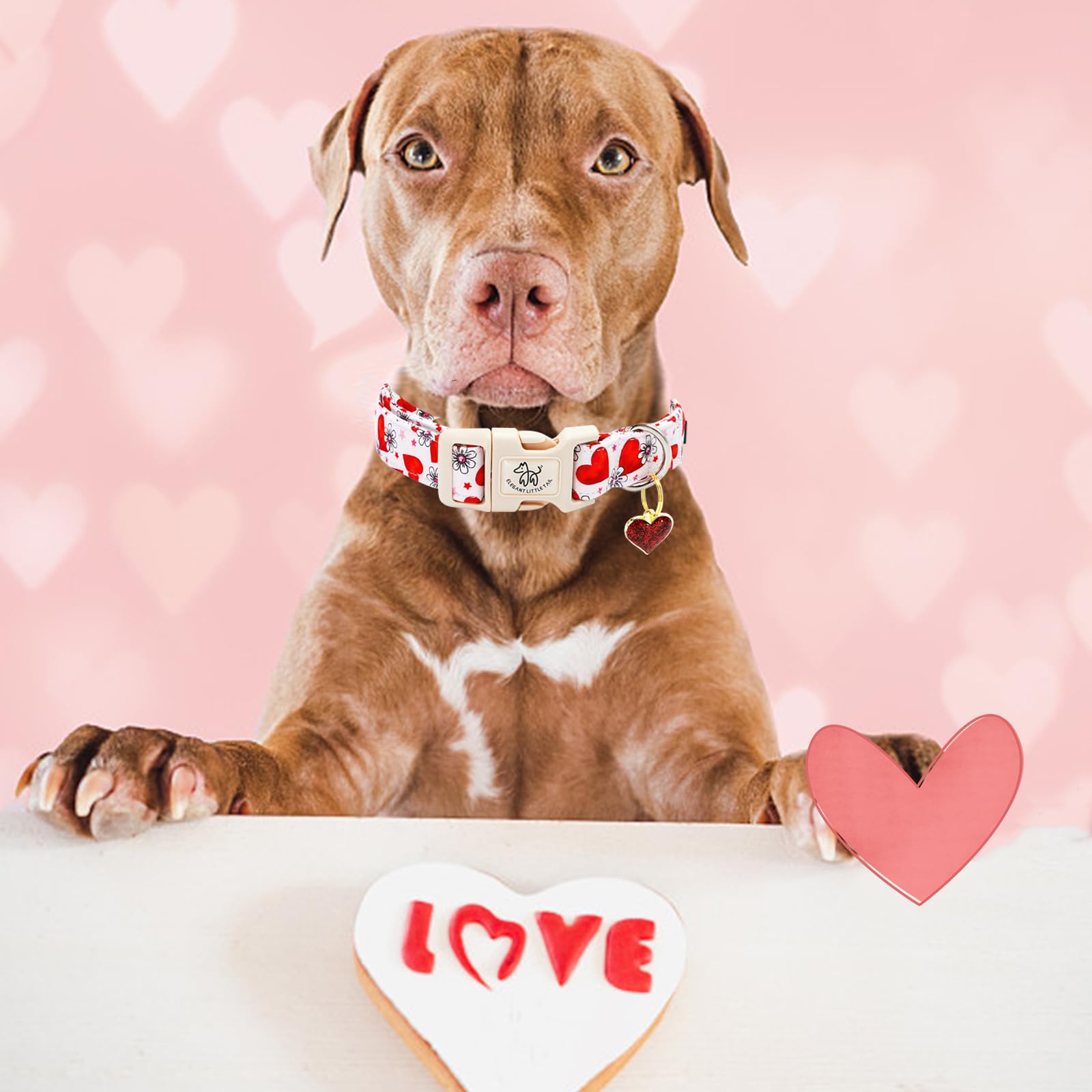 Elegant Little Tail Valentine'S Dog Collar, Flower Pink Heart Dog Collar For Medium Dogs, Female Or Male Adjustable Cotton Pet C