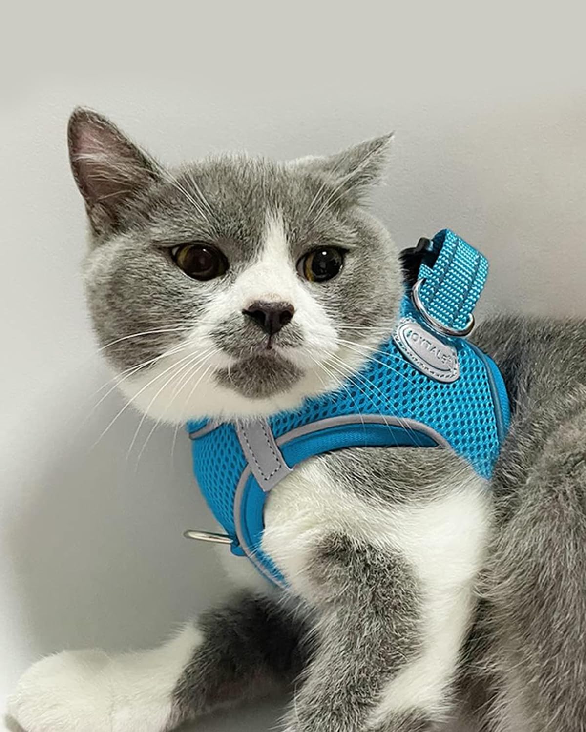 Joytale Small Dog Harness, Breathable Mesh Step-In Vest, Reflective Soft Padded Harnesses For Cats And Puppies Dogs, Sky Blue, X