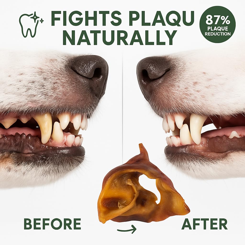 K9warehouse Pig Ears Strips - 32oz USA Packed - Natural Bulk Pig Ear Slivers - Treats Made of 100% Pure Pork - Alternative to Ra