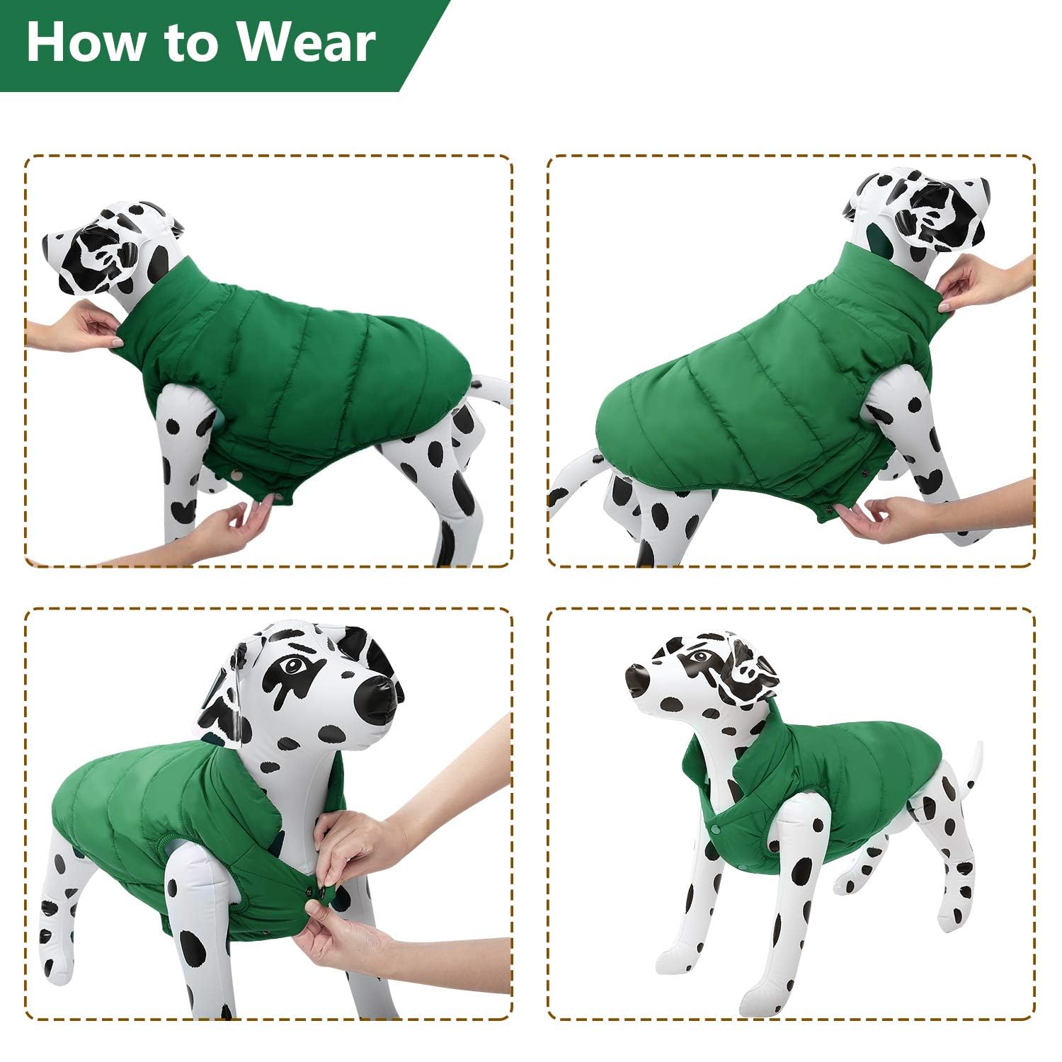 Asenku Windproof Dog Winter Coat - Waterproof Jacket With 2 Layers Fleece Lined For Small To Large Dogs (S, Green)