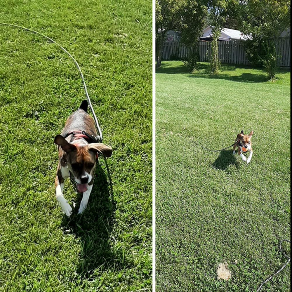 Yucforen Check Cord Dog Tie Out Long Rope Leash For Dog Training 15Ft 20Ft 26Ft 40Ft 60Ft 75Ft Obedience Recall Training Agility Lead For Large Medium Small Dogs Training, Camping, Playing, Backyard