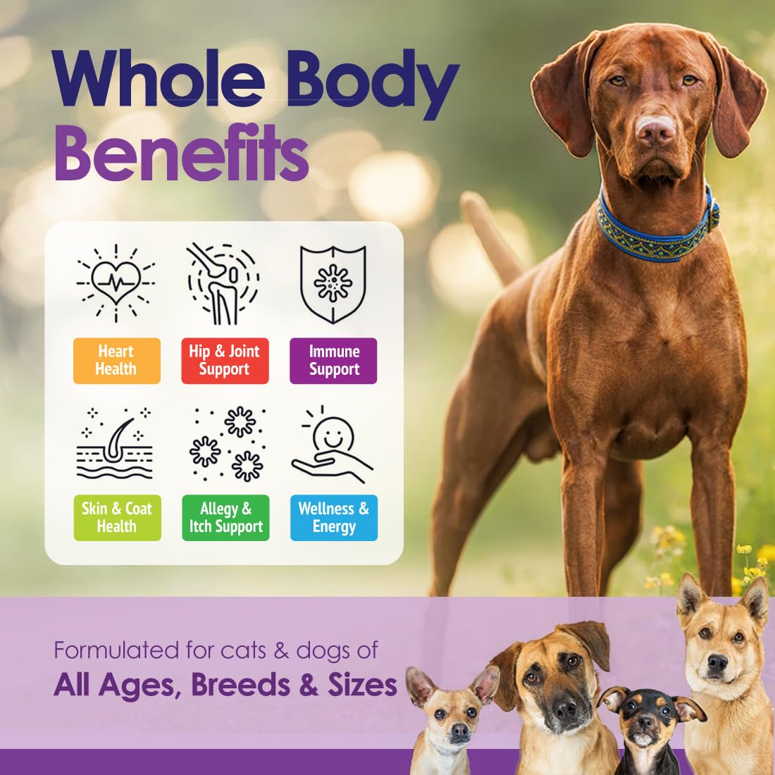 Dog Multivitamin Supplement, 22-in-1 Support for Immune System, Skin, Coat, Joints & Overall Health, Vitamins A, B, C, D, E, K,