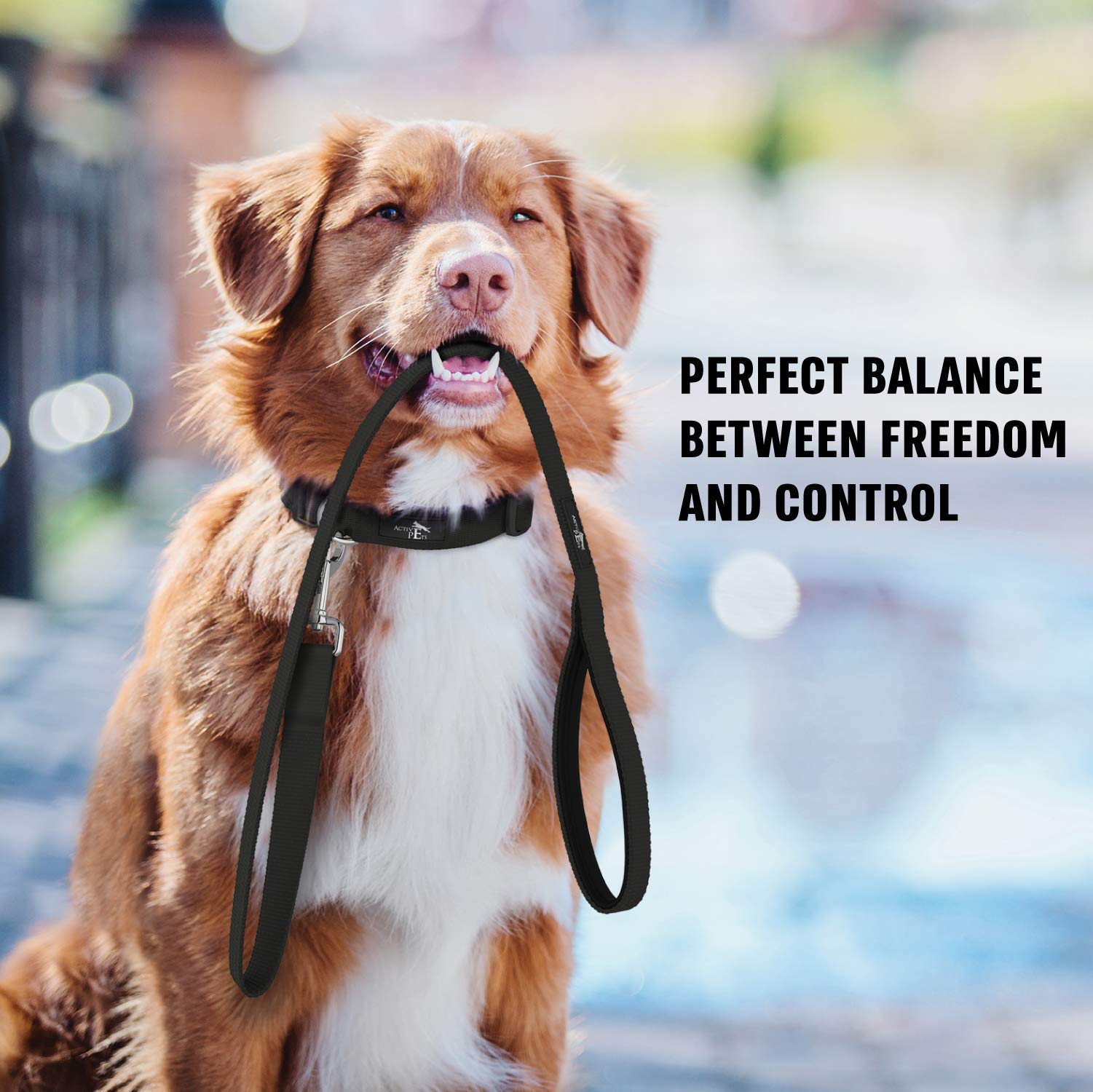 Active Pets Strong Dog Leash With Padded Handle, Durable Comfort Grip For Large & Medium Dogs, Up To 6Ft Adjustable Training Lead, 1 In X4 Ft, Black