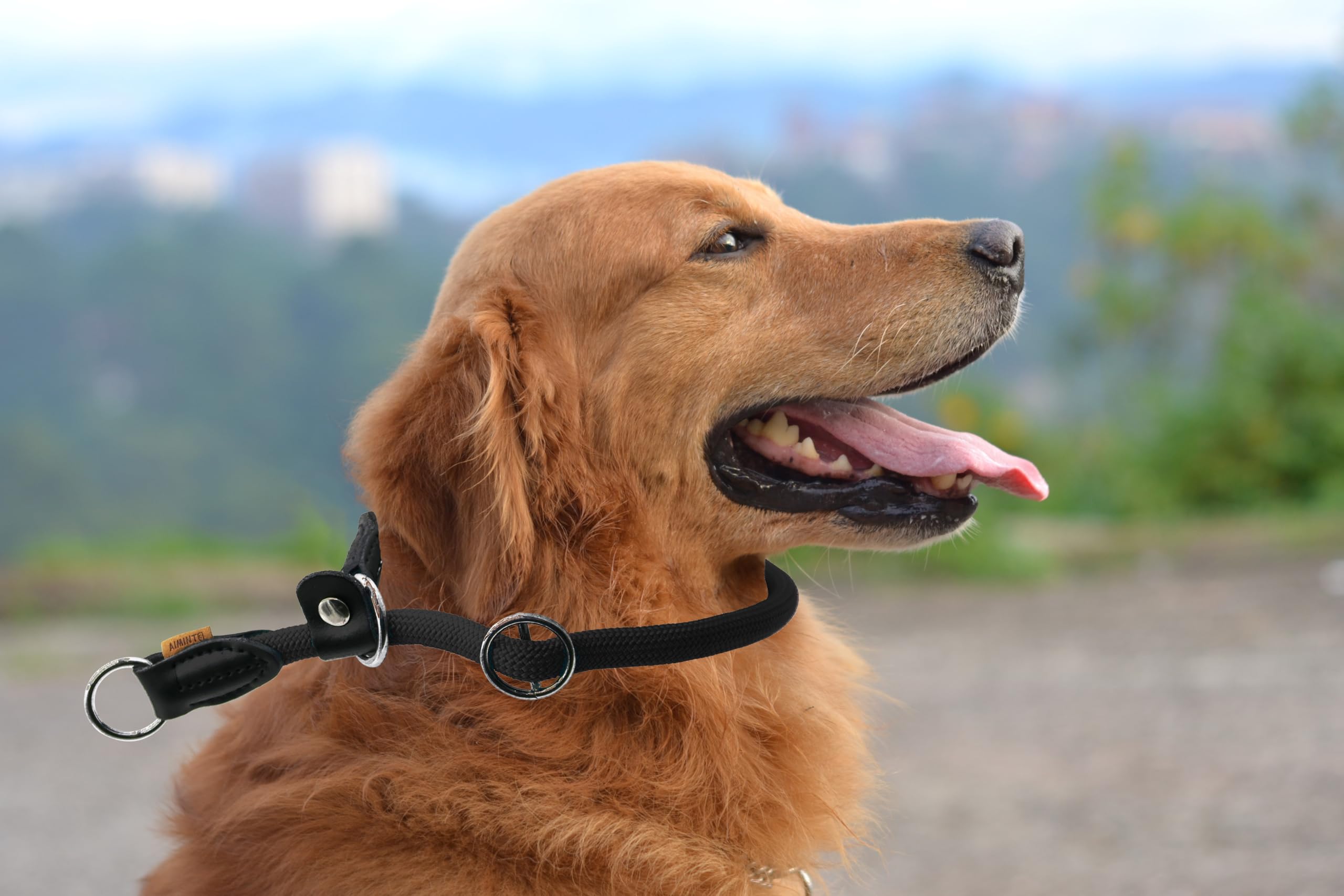 Aiminto Braided Round Martingale Dog Collar, Training Collar With Slidable Stop Ring And Adjustable Stopper - Ideal For Large Do