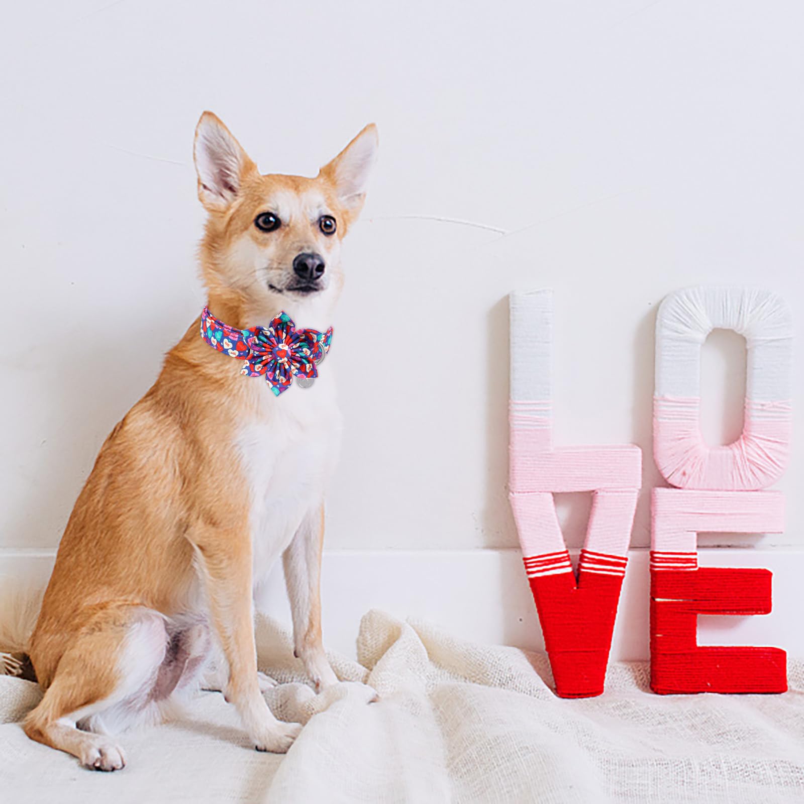 Dogwong Valentine'S Day Dog Collar With Flower, Blue Heart Bowtie, Adjustable Durable Pink Heart Collar For Small Medium Dogs