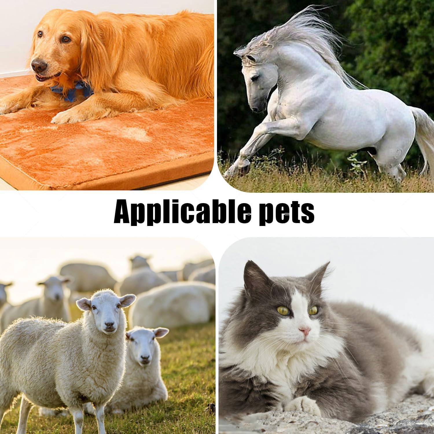 5Fw Wide Blades For Dog Grooming Blades Compatible With Andis Dog Clippers Blades,Dog Clipper Blades Compatible With Oster A5,Wa