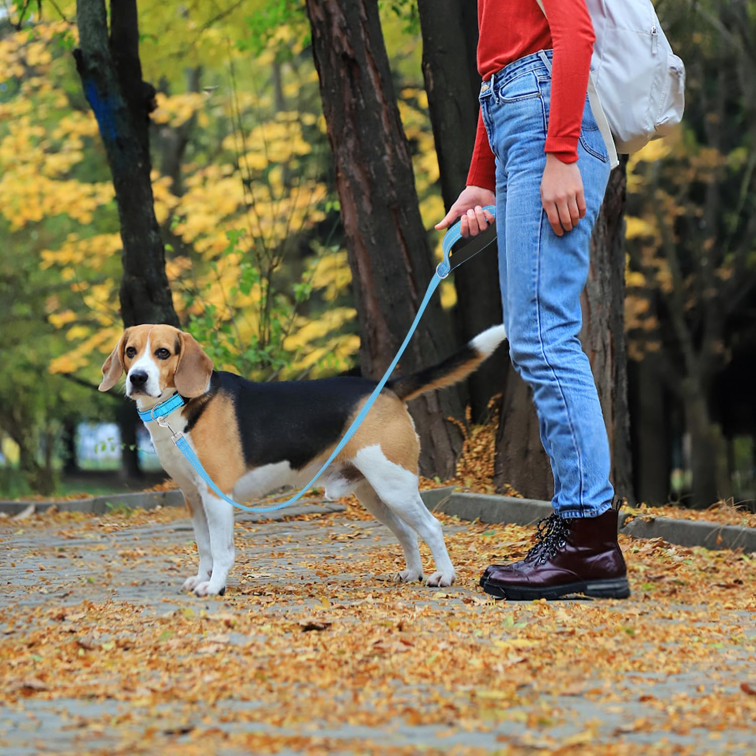 Usunyvora Reflective Nylon Dog Leash For Walking,Strong Dog Leash With Padded Handle For Medium And Large Dogs,5 Ft,Sky Blue
