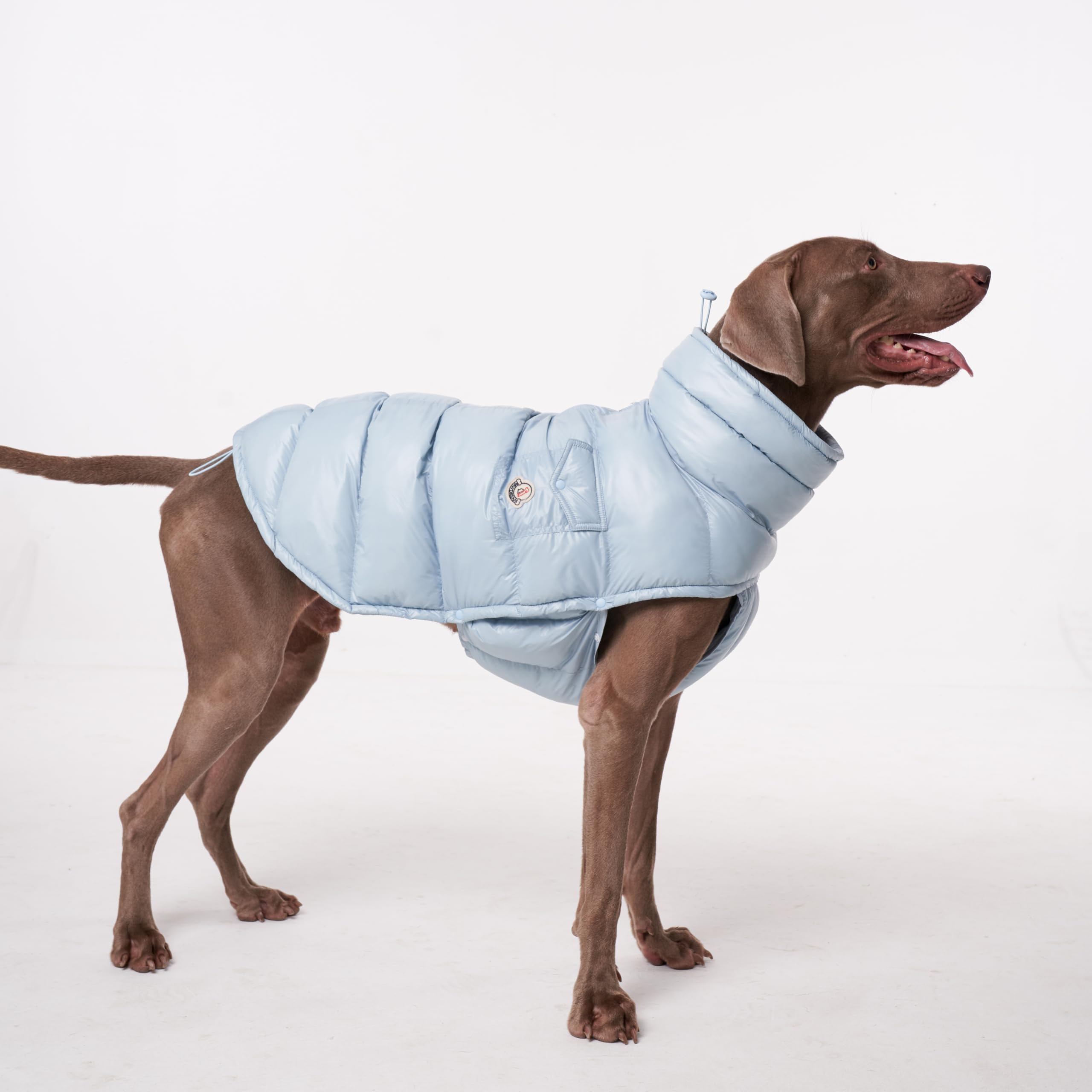Chochocho Winter Dog Jacket, Cold Weather Coats, Lightweight, Thermal Insulated, Water-Resistant, Adjustable Dogs Jackets With L