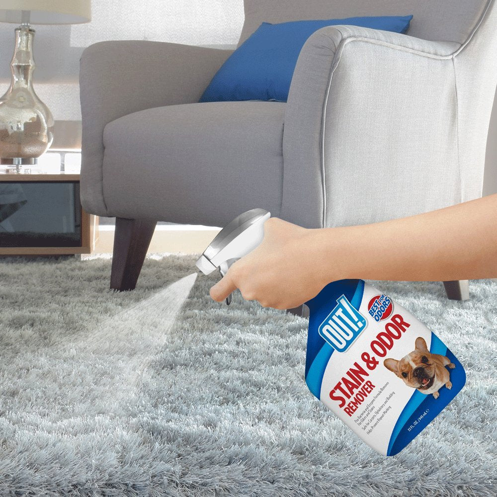 Out! Pet Stain & Odor Remover, 32 Oz, Usa Made