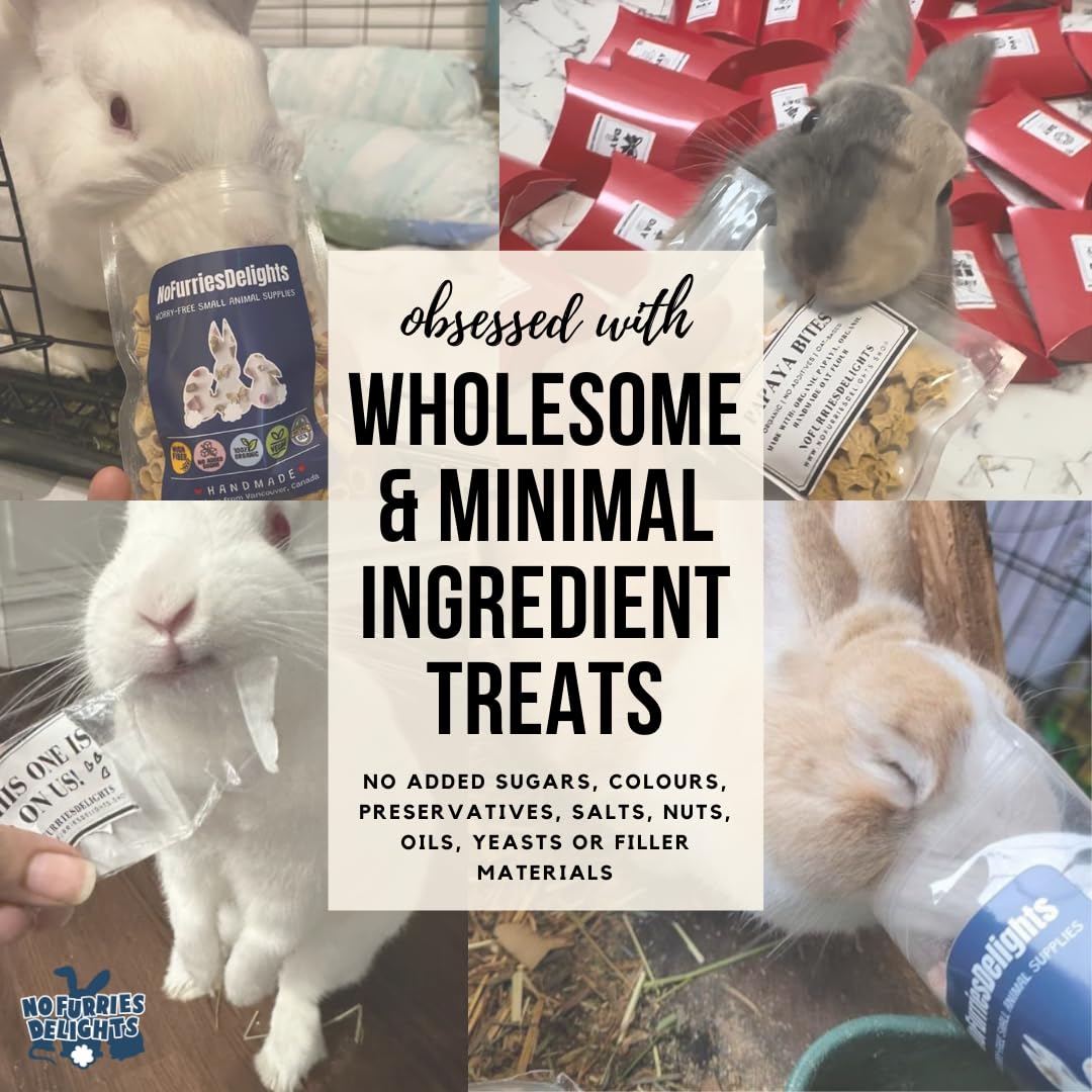 No Furries Delights Forage Mix,100% All Natural Botanical Herb Treat for Rabbit Hamster Guinea Pig Chinchilla Chicken Hermit Cra