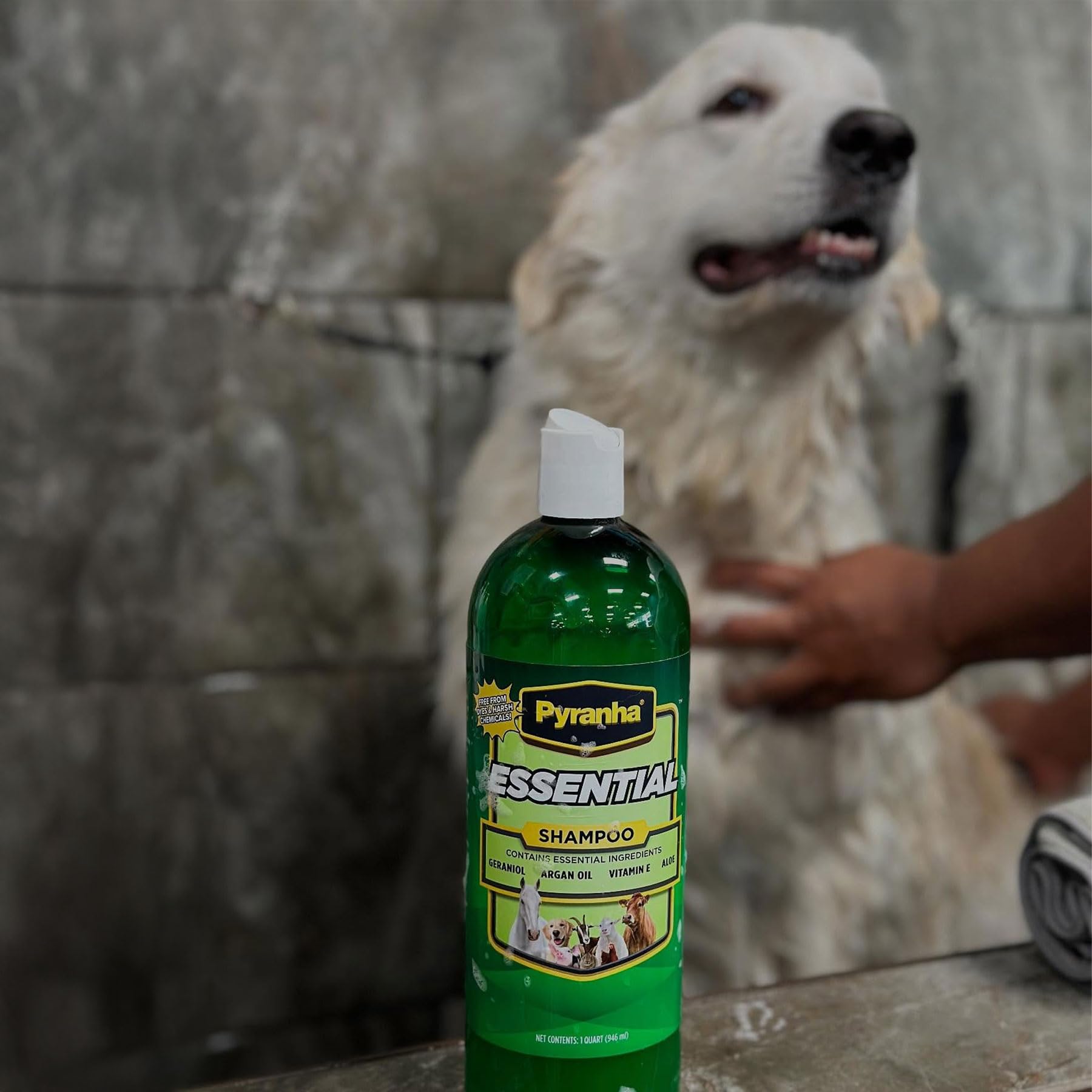 PYRANHA Essential Shampoo - Cleaning Refreshing Product for Horse, Dog, Cat & Show Animals with Coconut & Argan Oil, Geraniol, A