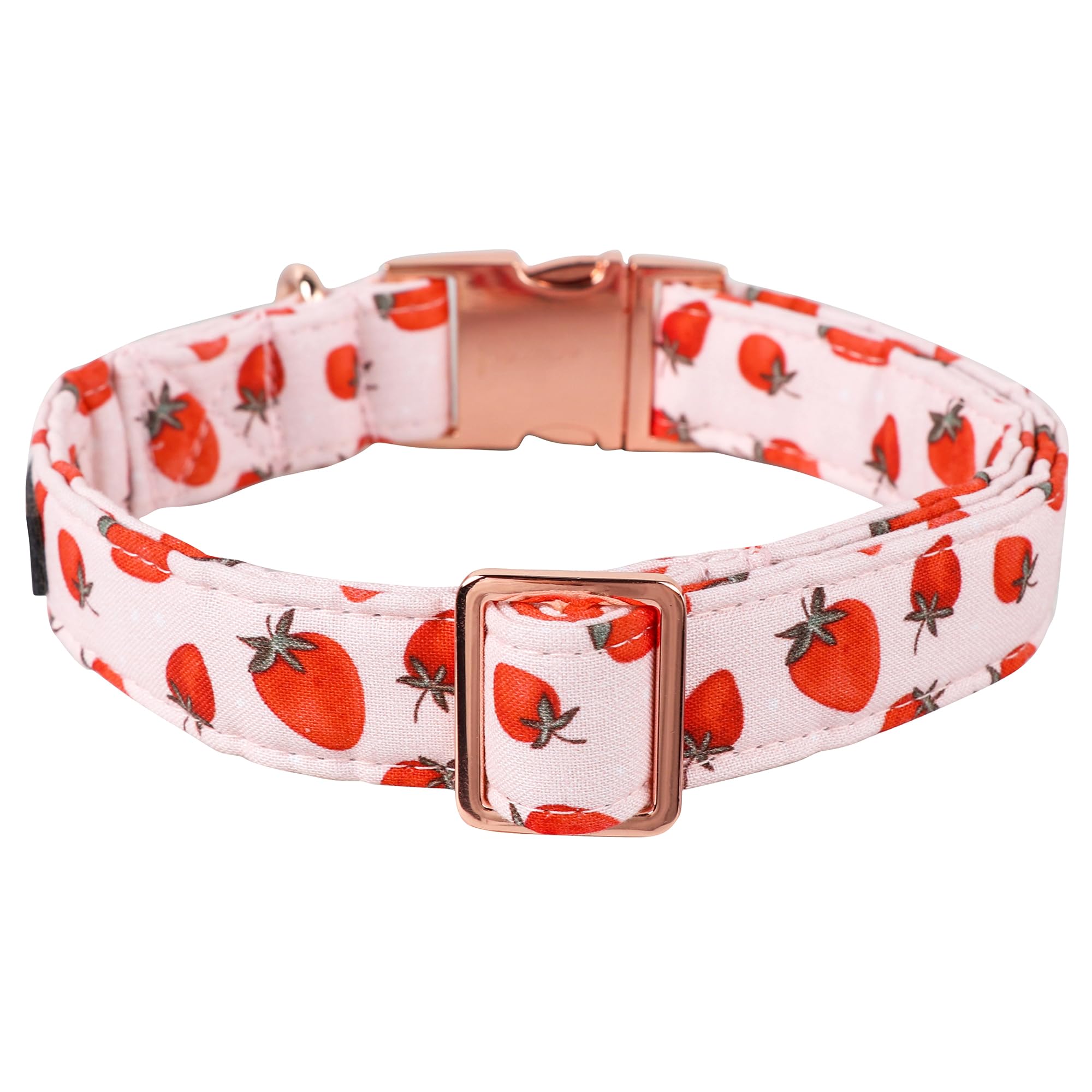Lionet Paws Dog Collar, Comfortable Adjustable Cute Collar With Metal Buckle For Male Female Dogs, Strawberry Pattern, Small, Ne