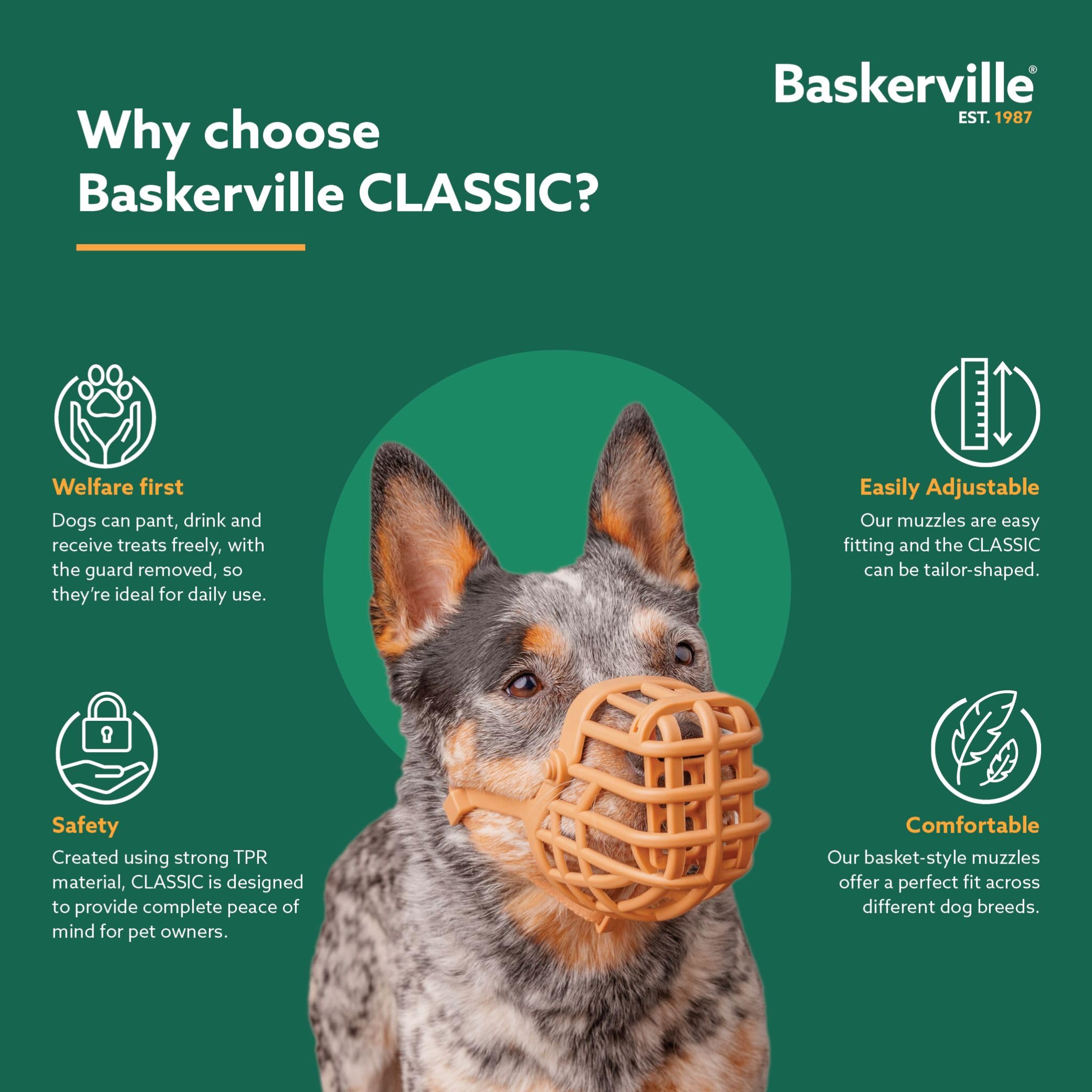 Baskerville Classic Basket Muzzle - Dog can Pant and Drink, Prevents Biting and Food Waste Scavenging, Strong TPR, Breathable Do