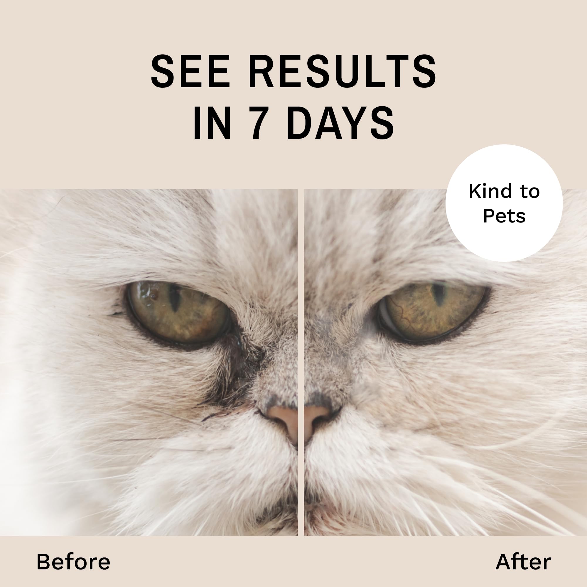 Eye Envy Cat Tear Stain Remover Starter Kit with ProPowder Brush. Stain Solution, Applicator Pads, Stain Powder, and Small Appli