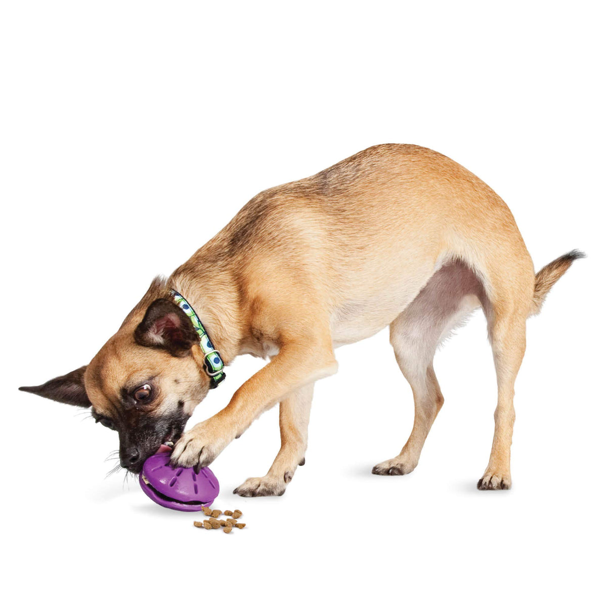 Petsafe Busy Buddy Twist 'N Treat Dispensing Dog Toy - Extra Small