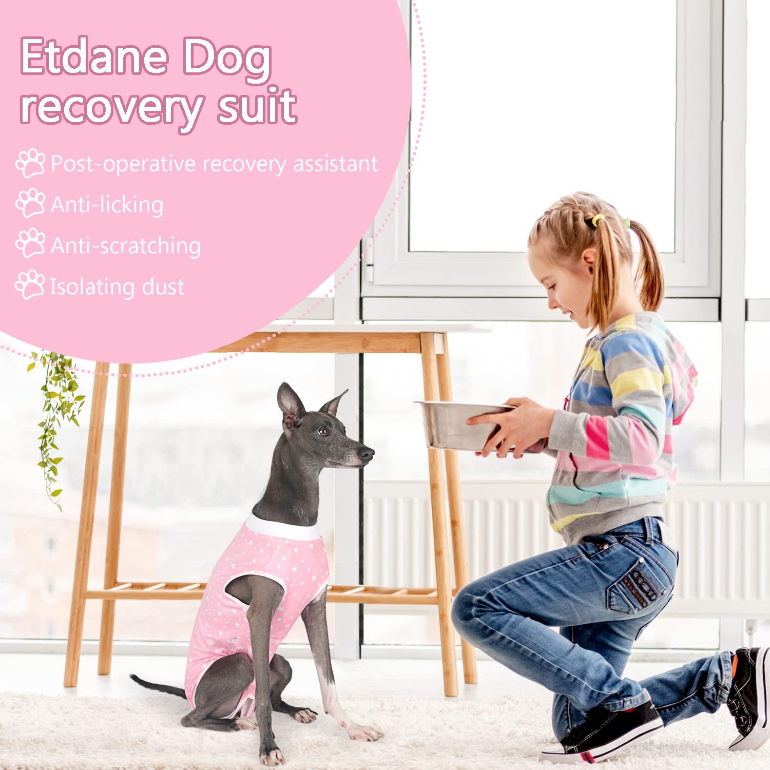 Etdane Dog Recovery Suit for Female Male Dog Onesie for Surgery Surgical Suit After Spayed Dogs Neuter Body Suits Fit Small Medi