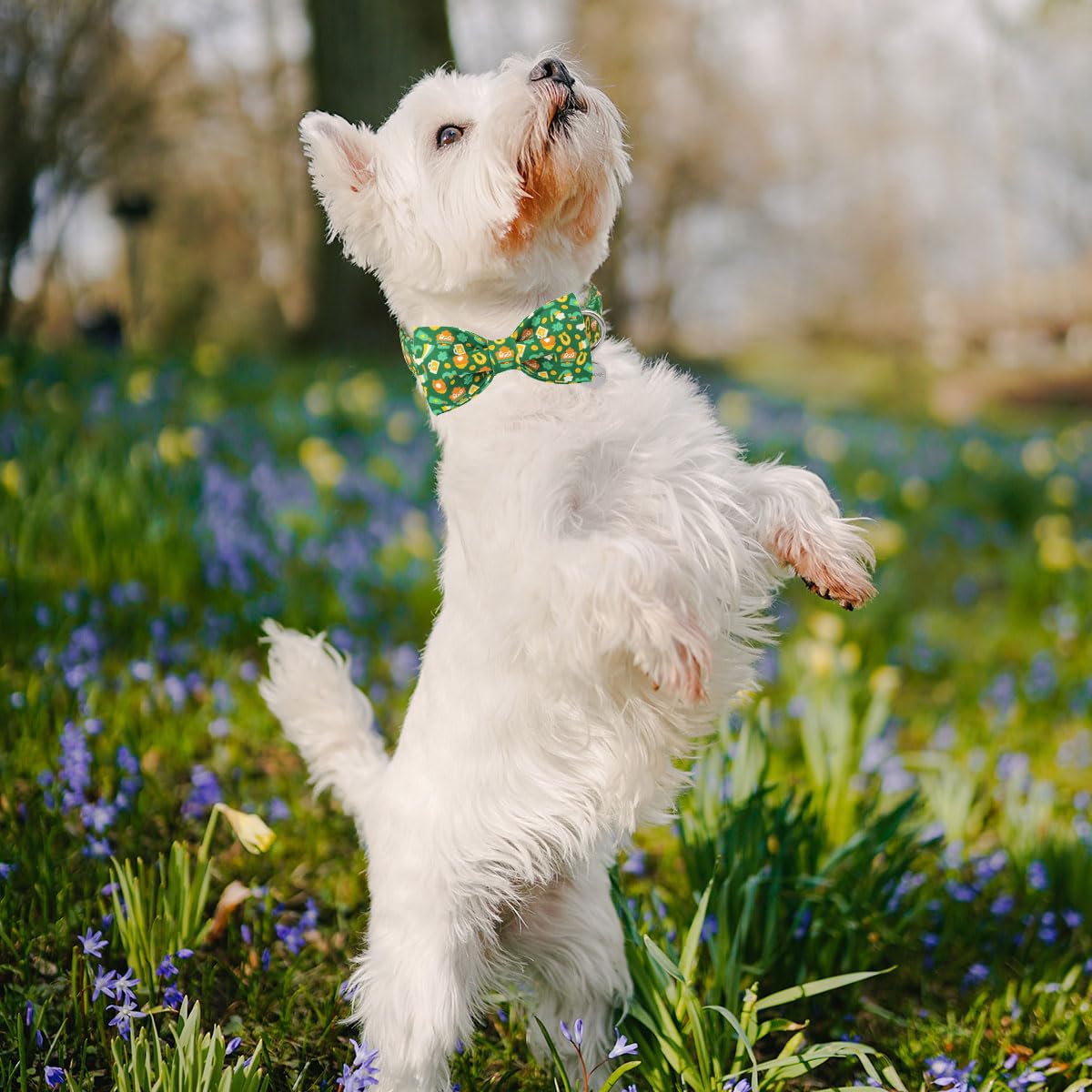 Dogwong St Patrick Dog Bow Tie With Collar, Irish Holiday Shamrock Lucky Dog Collar For Boys And Girls Large Medium Pets Puppies