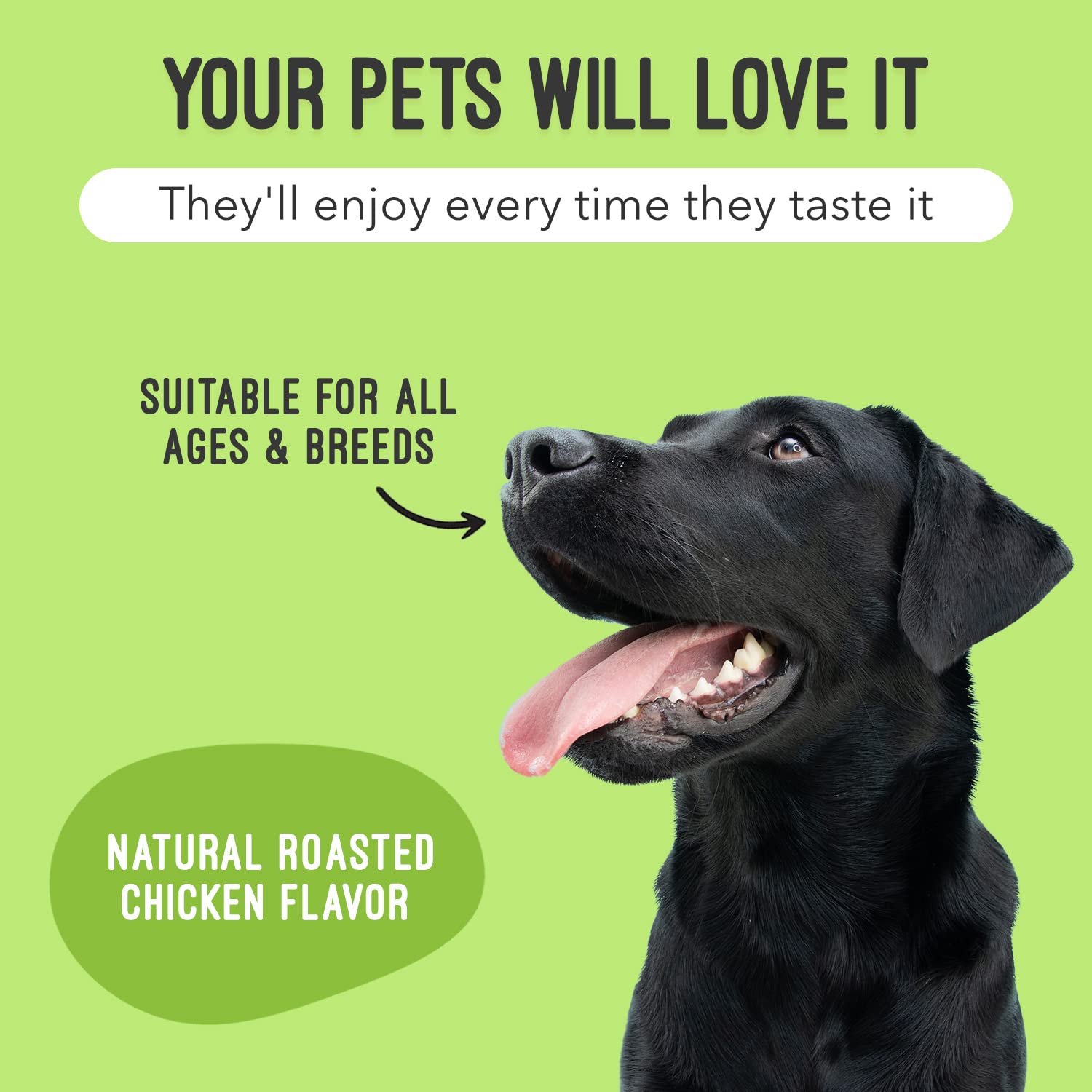 UroMAXX, Cat & Dog Urinary Tract Treatment, Bladder & Kidney Support for Dogs and Cats, Powerful Yet Gentle Pet Care, with Liqui