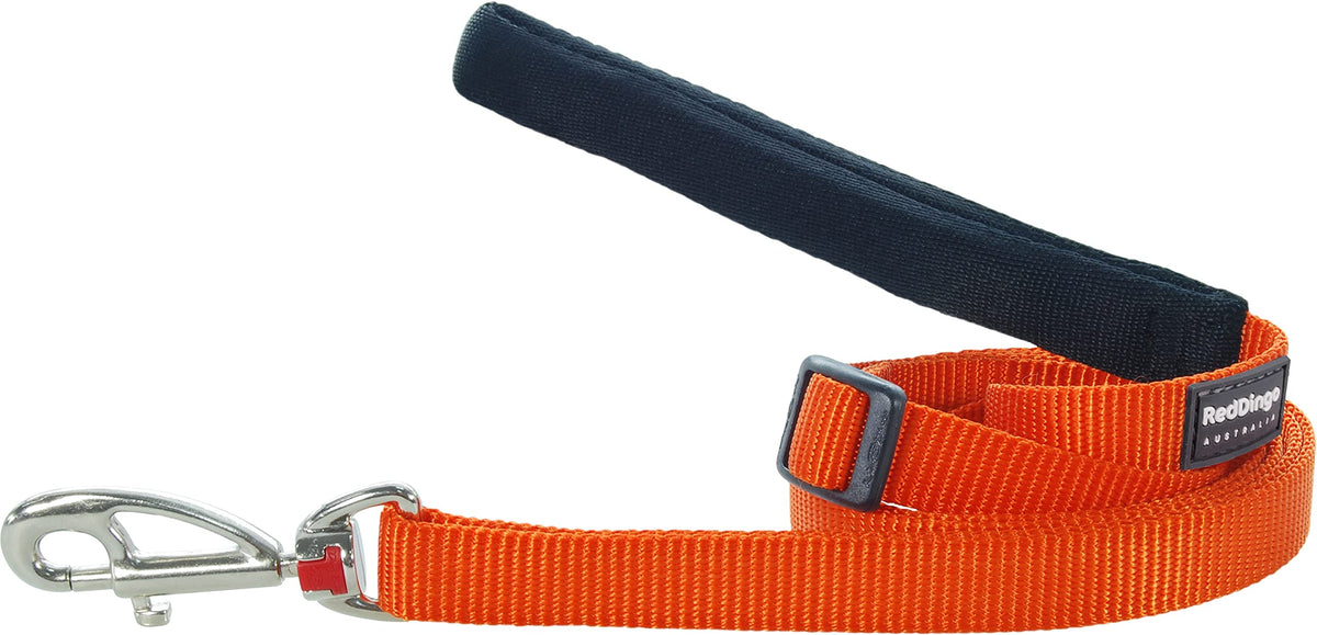 Red Dingo Classic Dog Lead, Small, Orange