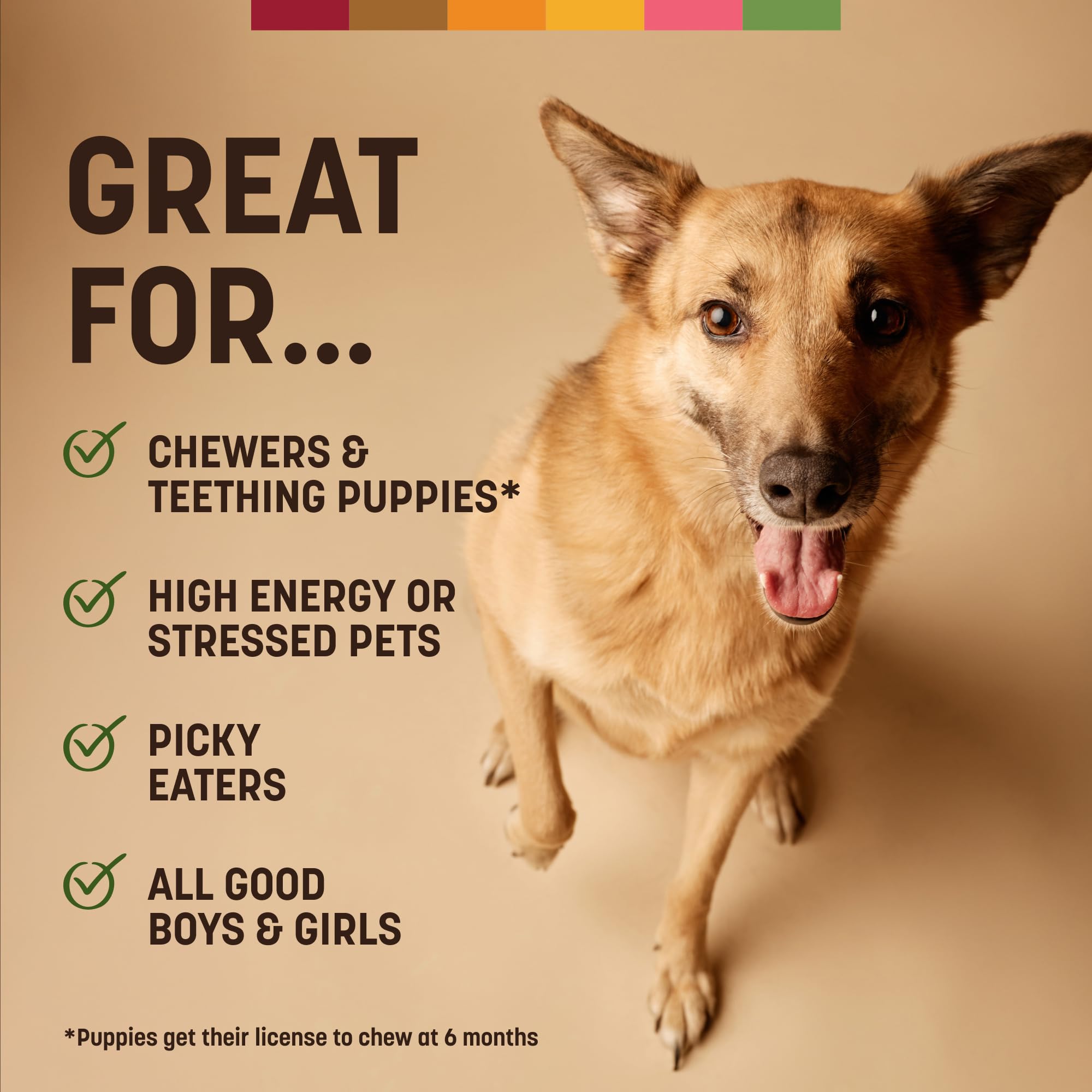 Earth Animal No Hide Strips Pork Flavored Natural Treats | No Rawhide | Quick & Thin Dog Chews | 1.5 Oz