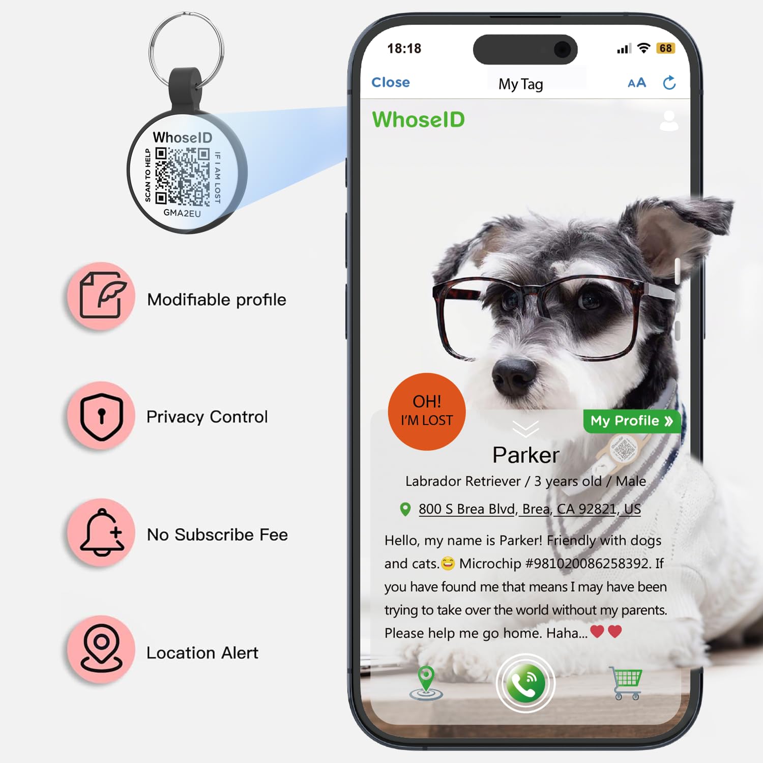 WhoseID QR Code Cat Tag, Modifiable Pet Online Profile Display Page, Multiple Emergency Contact, Silent Silicone, Collar Accesso
