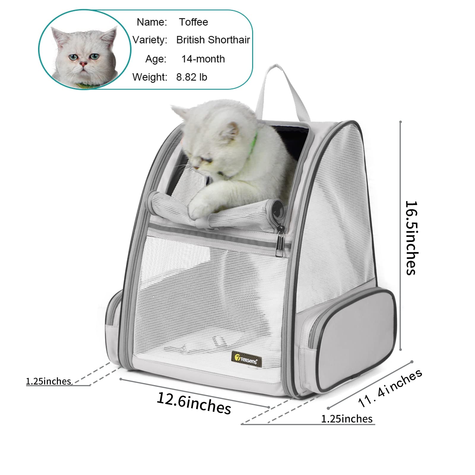 Texsens Pet Backpack Carrier For Small Cats Dogs | Ventilated Design, Safety Straps, Buckle Support, Collapsible | Designed For