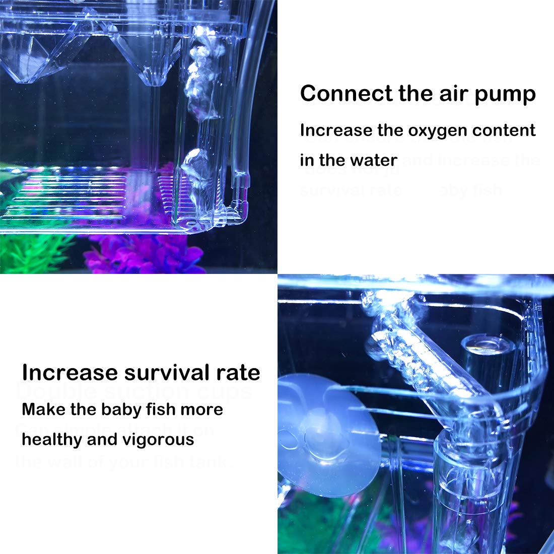 J-star Large Clear Acrylic Fish Breeder Box - Ideal for Betta, Guppy, Killifish, Shrimp, and Clownfish Isolation