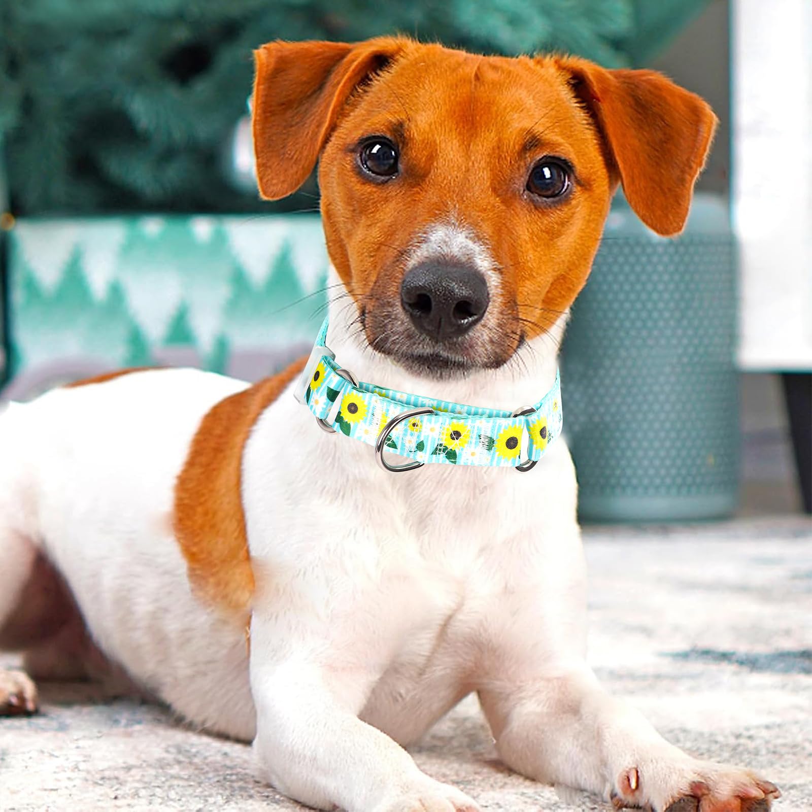 Martingale Collar For Dogs, Adjustable Soft Nylon Dog Collars With Special Design Sunflower Patterns For Small Medium Large Dog(