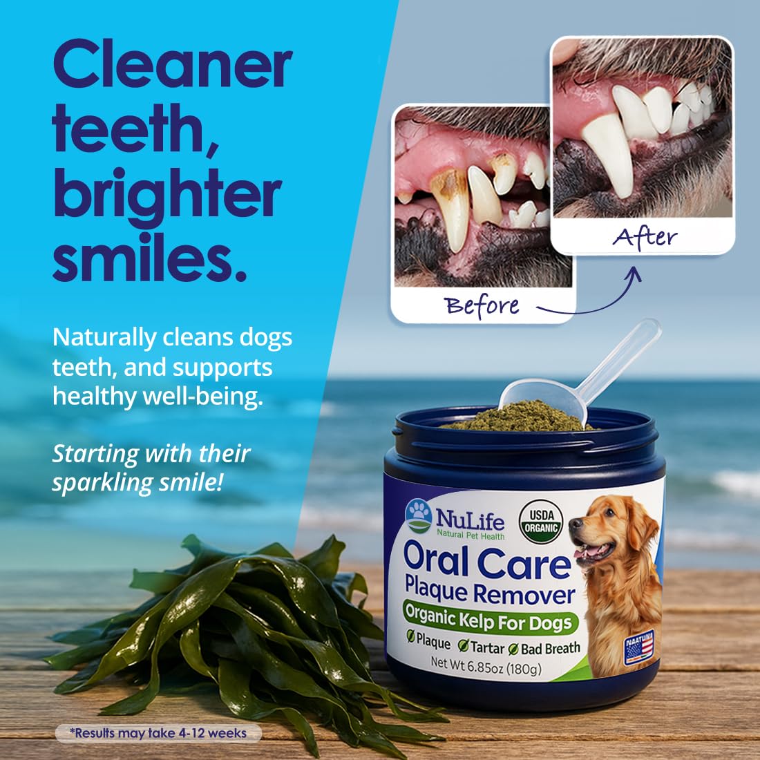 Dog Teeth Cleaning Powder, Dog Plaque and Tartar Remover, Bad Breath Treatment for Dogs with USDA Organic Sea Kelp Powder, Dog D