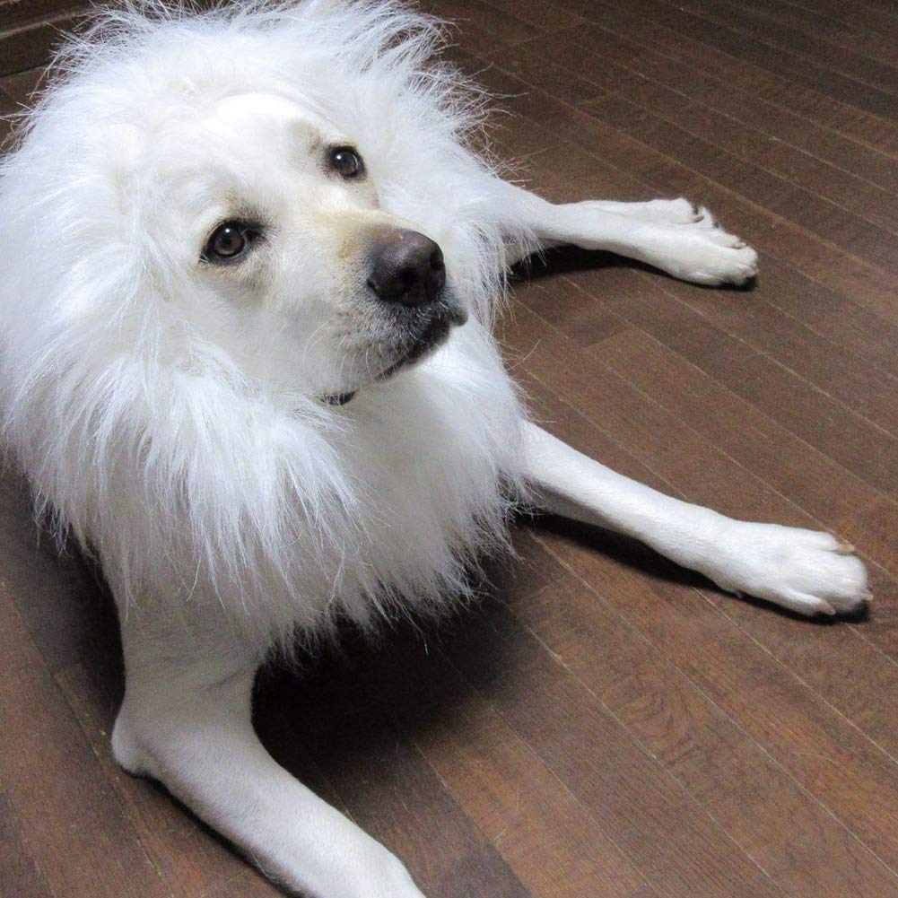 Vivifying Lion Mane Dog Costume, Adjustable Lion Wig With Faux Fur For Medium&Large Dogs, Halloween Dog Accessory Perfect For Parties, Photoshoots, And Role-Playing (Large, White)