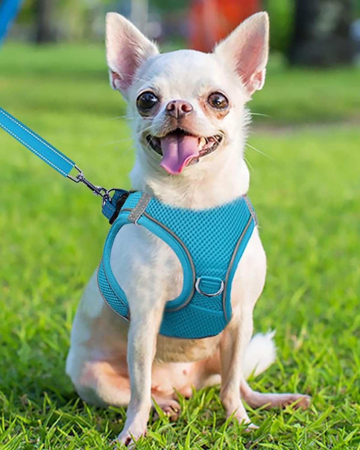 Joytale Small Dog Harness, Breathable Mesh Step-In Vest, Reflective Soft Padded Harnesses For Puppies And Extra Small Dogs, Sky