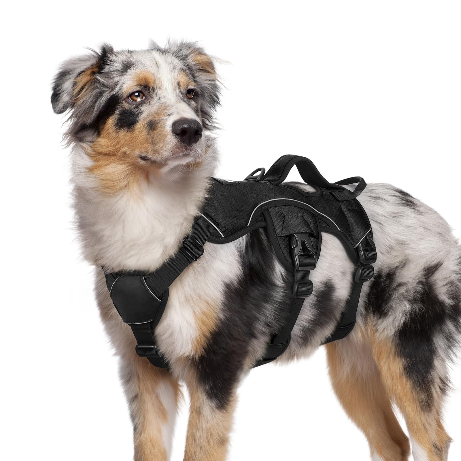 Rabbitgoo Escape Proof Dog Harness Medium, Soft Padded Full Body Pet Harness, Reflective Adjustable No Pull Vest With Lift Handl
