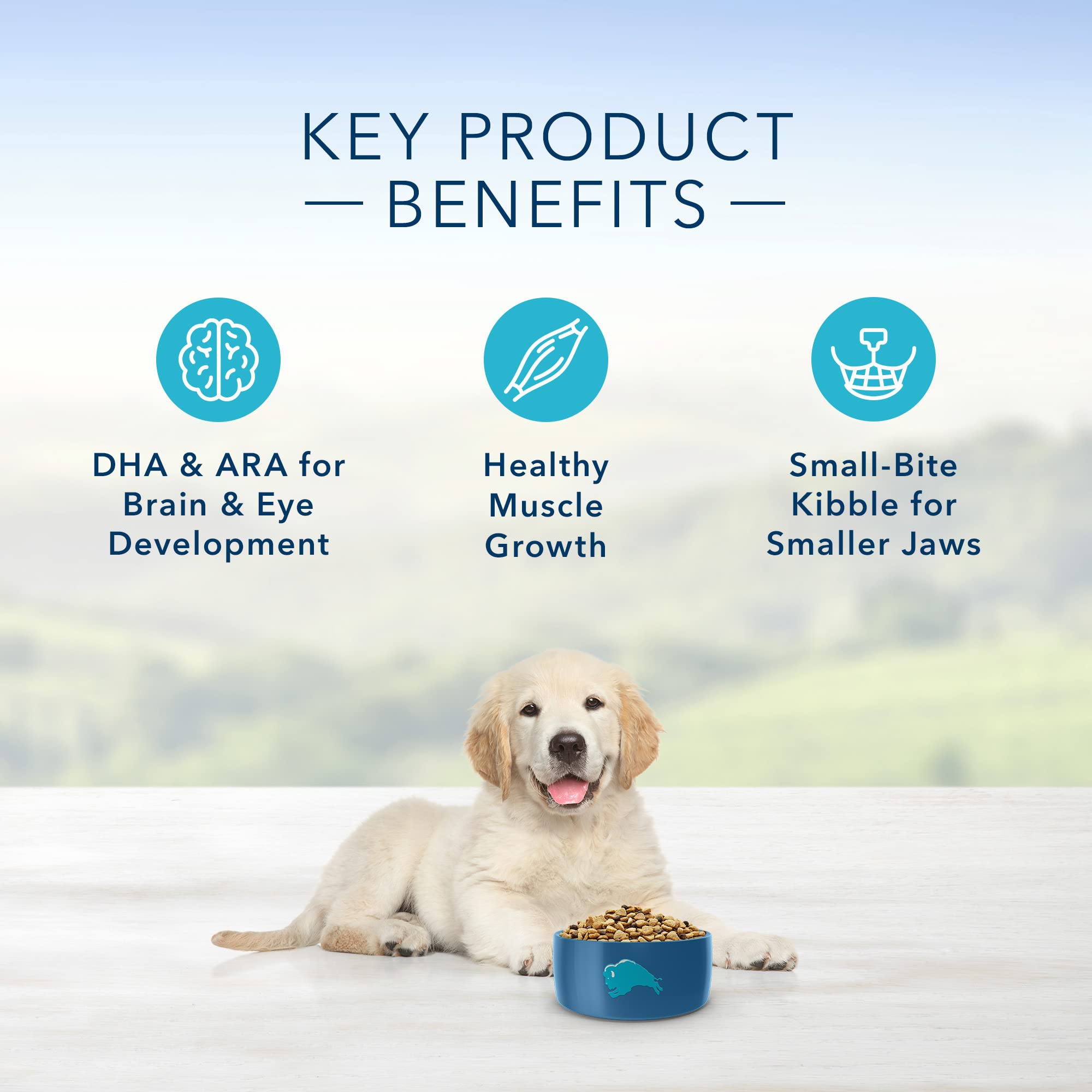 Blue Buffalo Life Protection Formula Puppy Dry Dog Food with DHA and ARA, Made with Natural Ingredients, Lamb & Oatmeal Recipe,