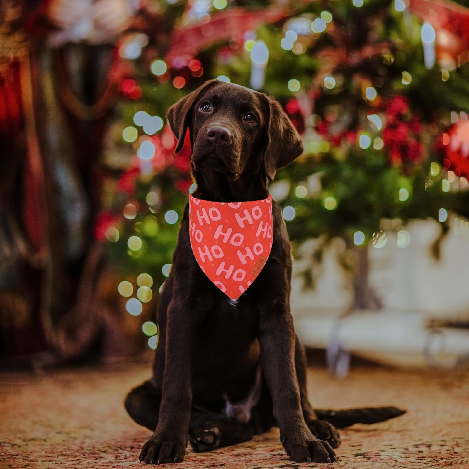 Ptdecor Christmas Dog Bandana, Xmas Hoho Santa Design Reversible Holiday Dog Scarf, Triangle Christmas Bandanas For Medium Large