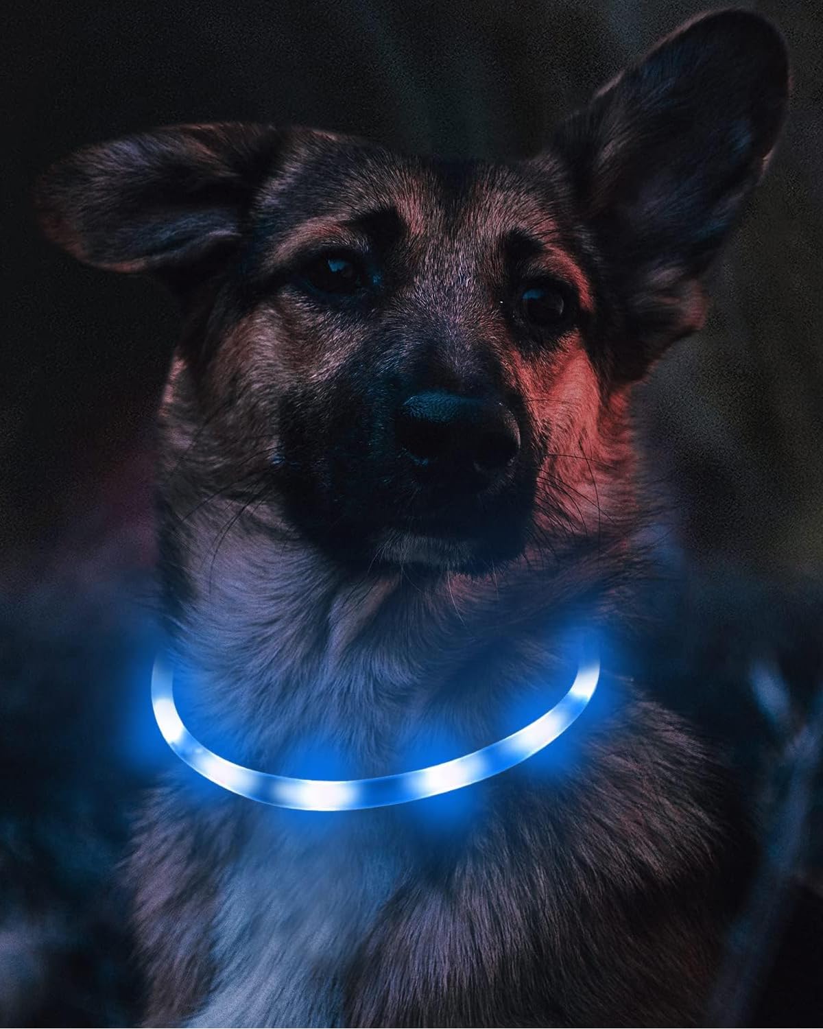 Joytale Light Up Dog Collar, Rechargeable Rainproof Led Dog Collar For Night Walking Safety, Soft Silicone Glow In The Dark Collar For Small Medium Large Dogs, Blue