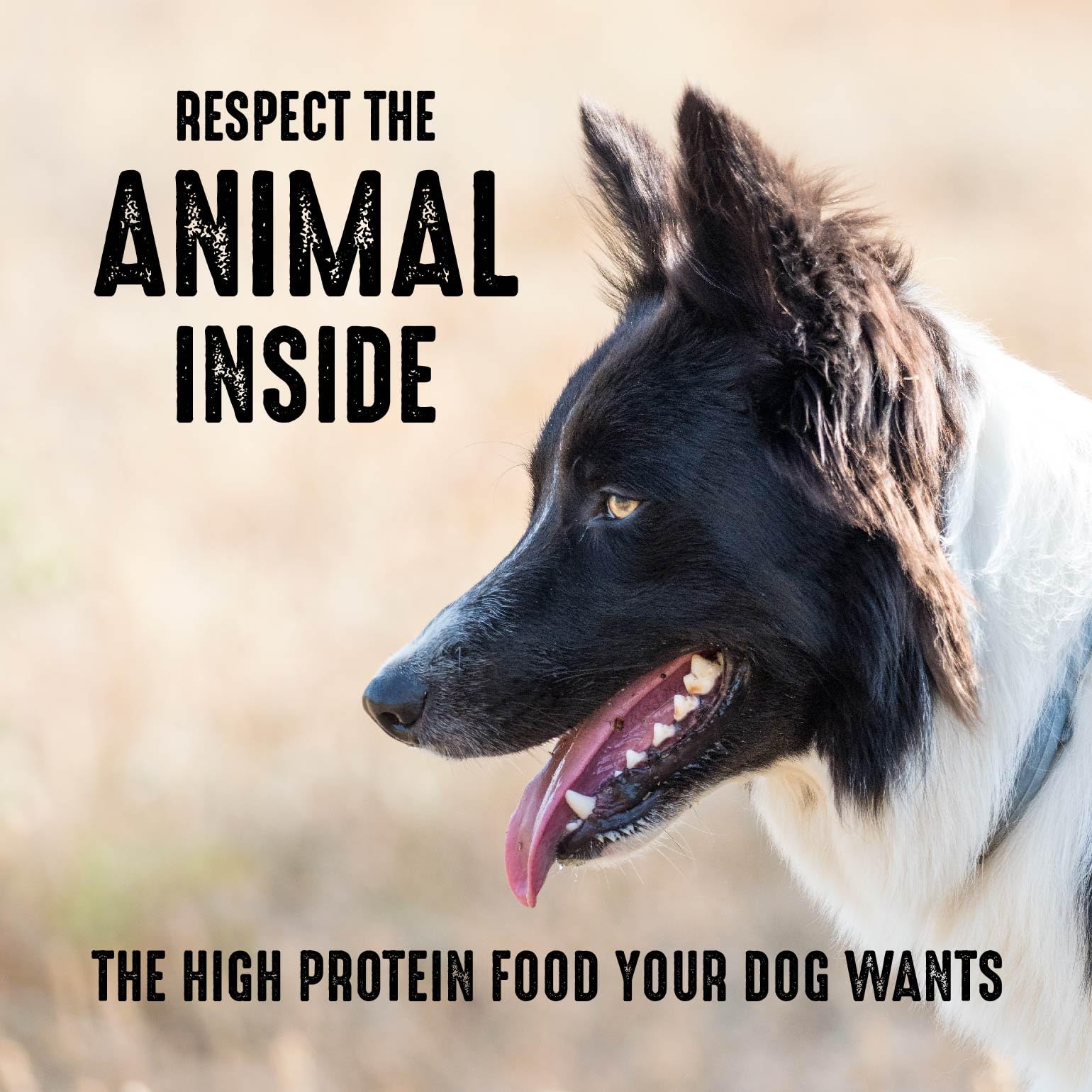 CRAVE Grain Free High Protein Adult Dry Dog Food, Chicken, 22 lb. Bag, brown