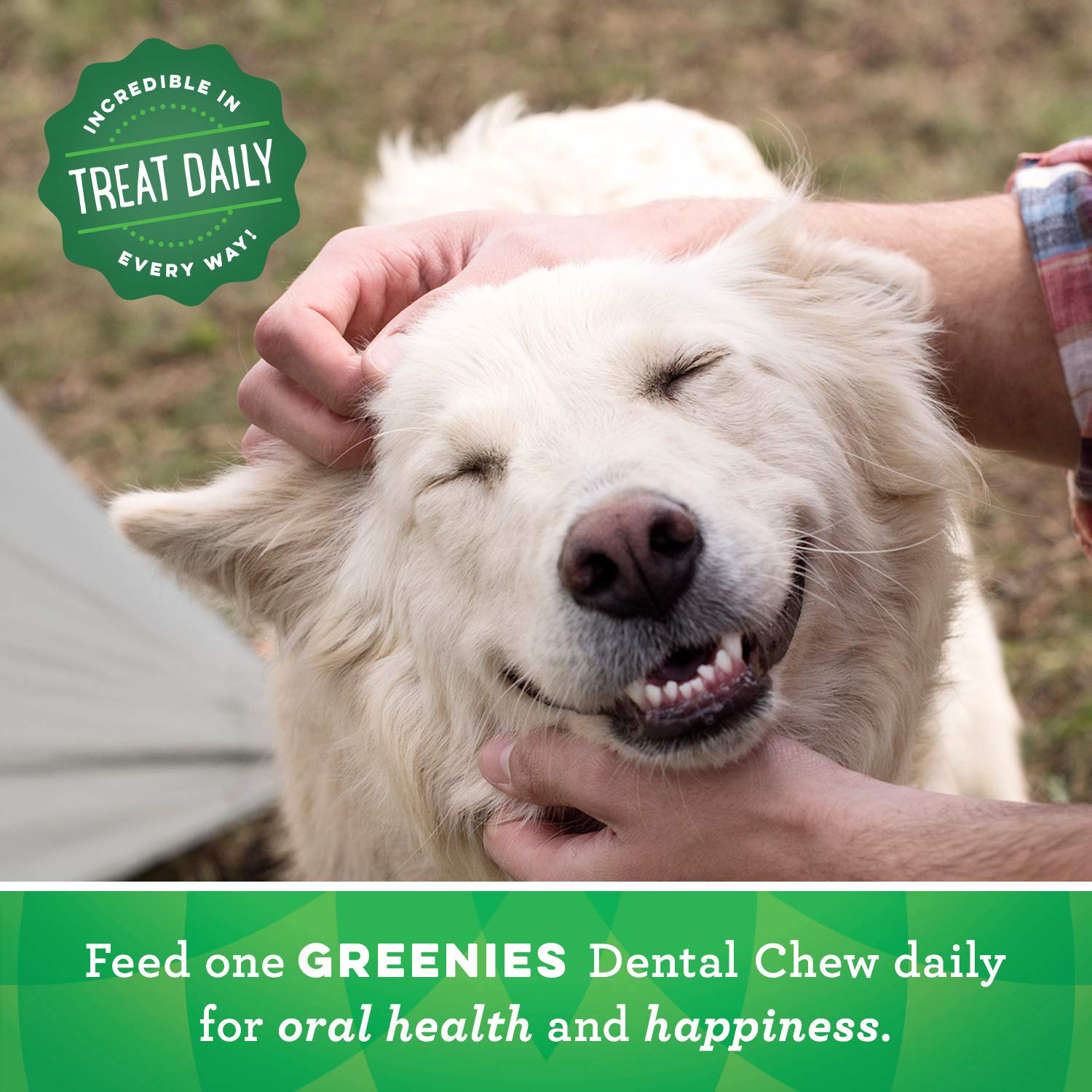 GREENIES Original Petite Natural Dog Dental Care Chews Oral Health Dog Treats, 18 oz. Pack (30 Treats)